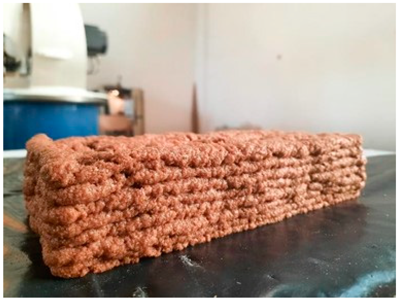 Biomimetics 06 00068 g010