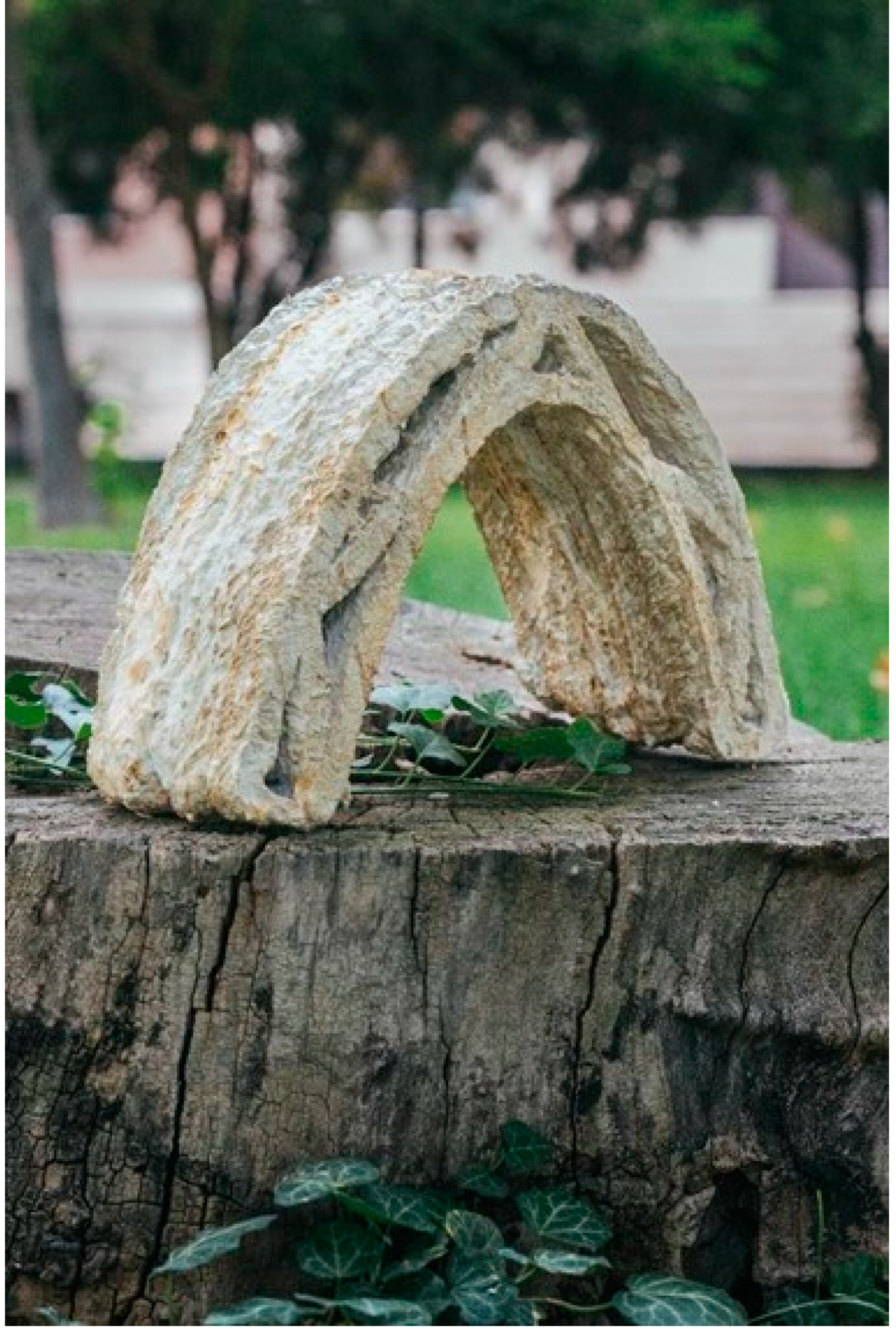 Biomimetics 06 00068 g014