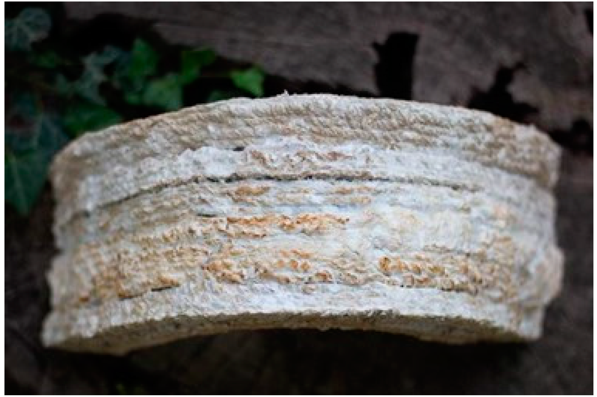 Biomimetics 06 00068 g015