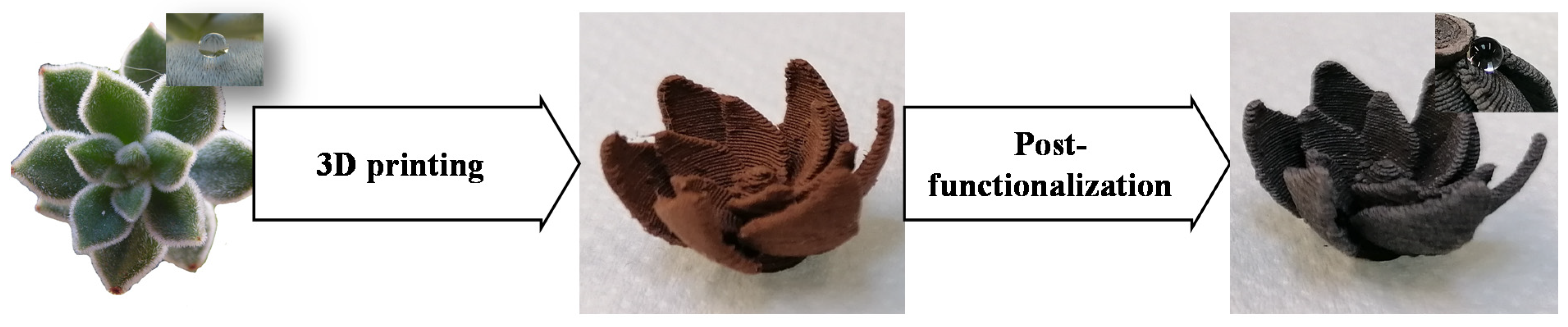 Biomimetics 06 00071 g001