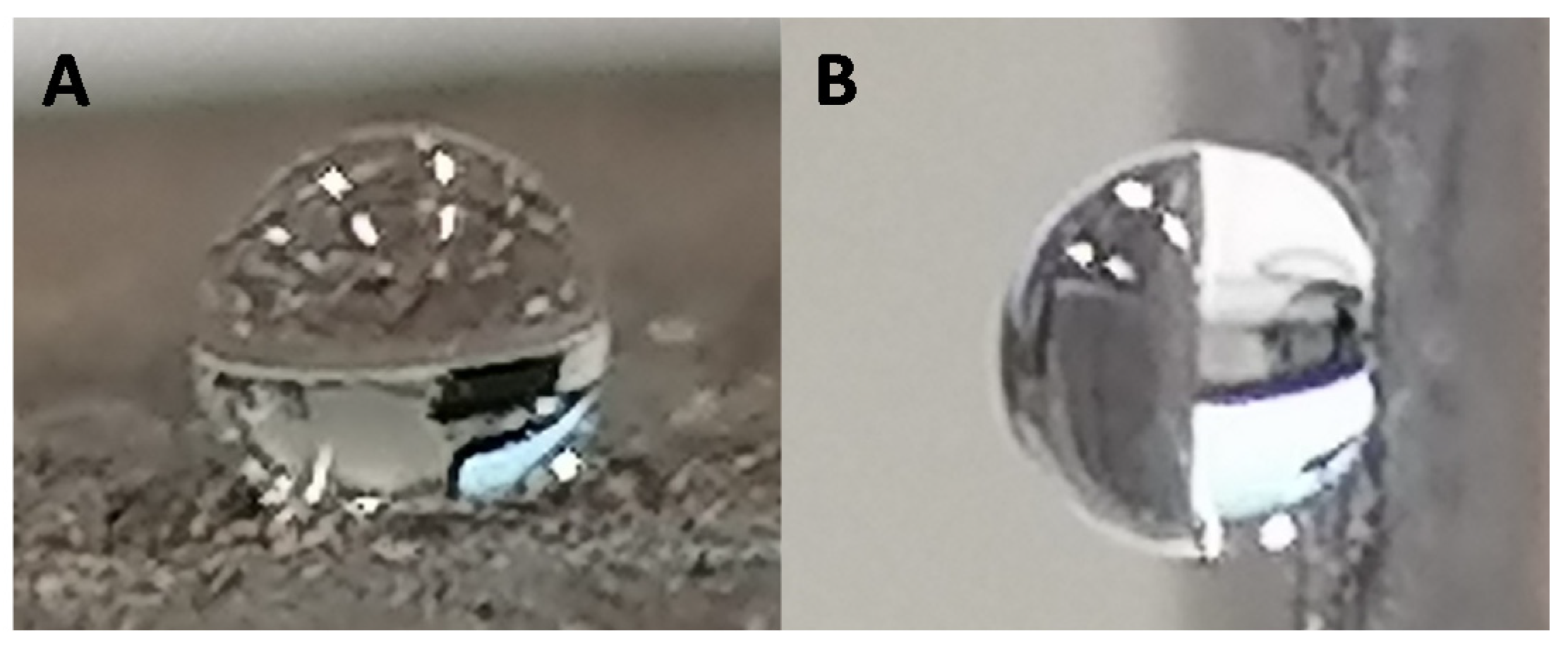 Biomimetics 06 00071 g010