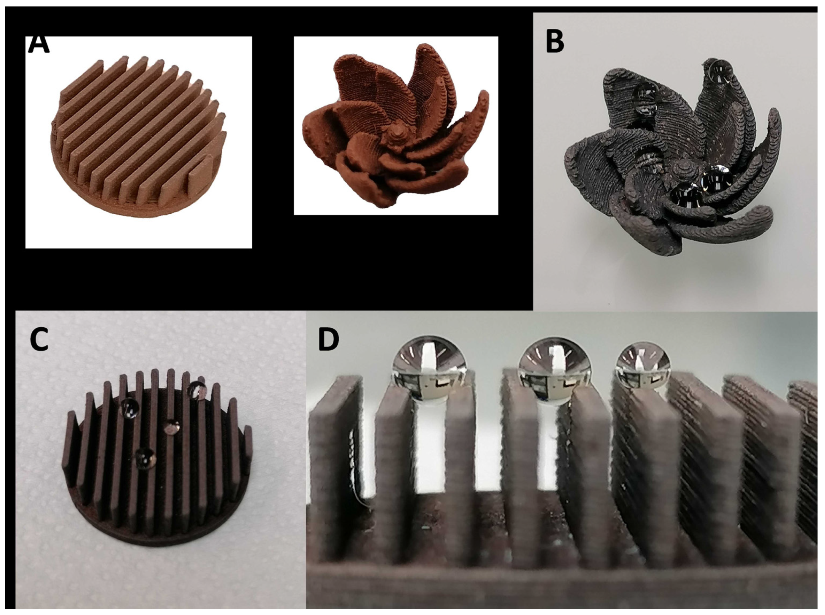 Biomimetics 06 00071 g011