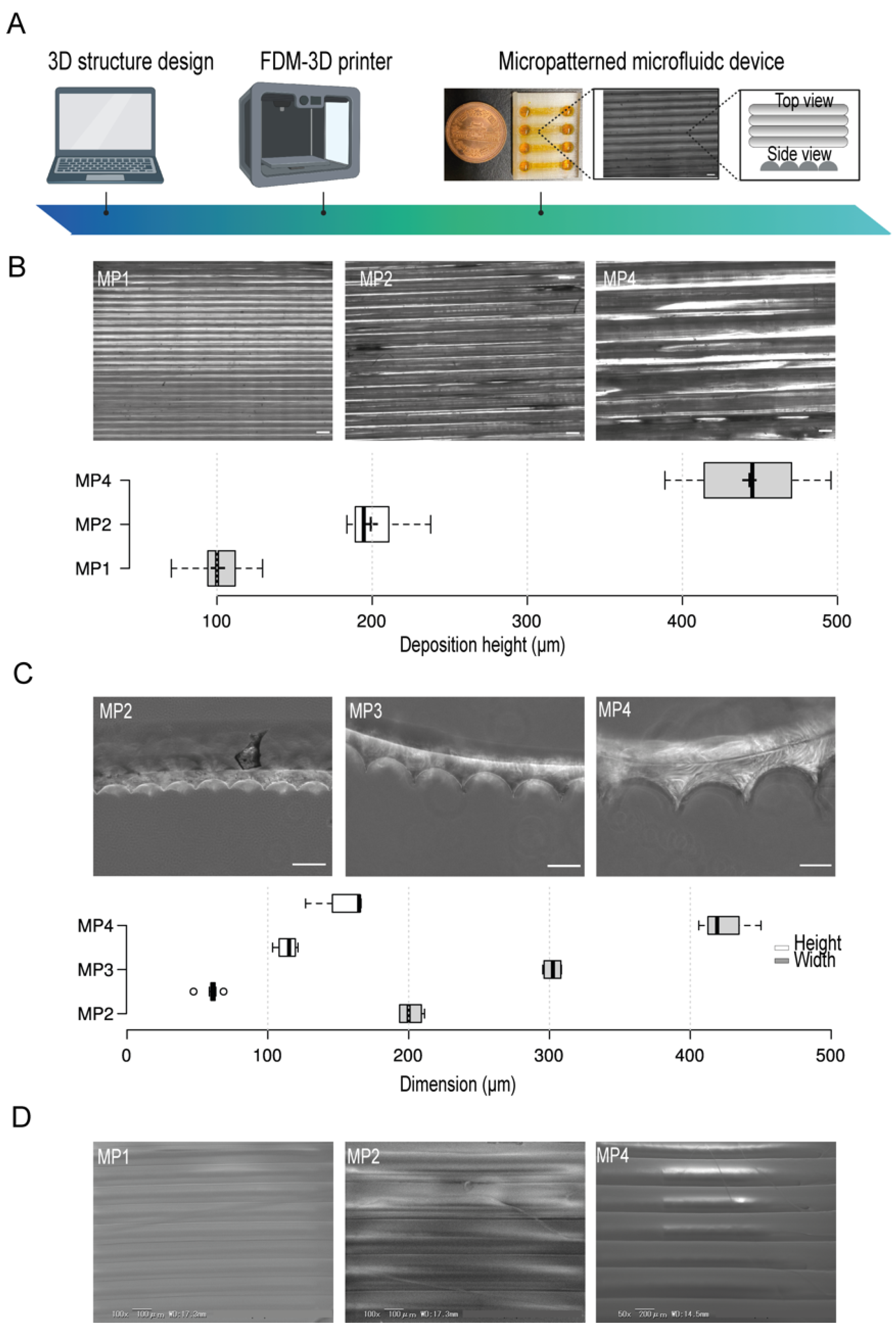 Biomimetics 07 00002 g001