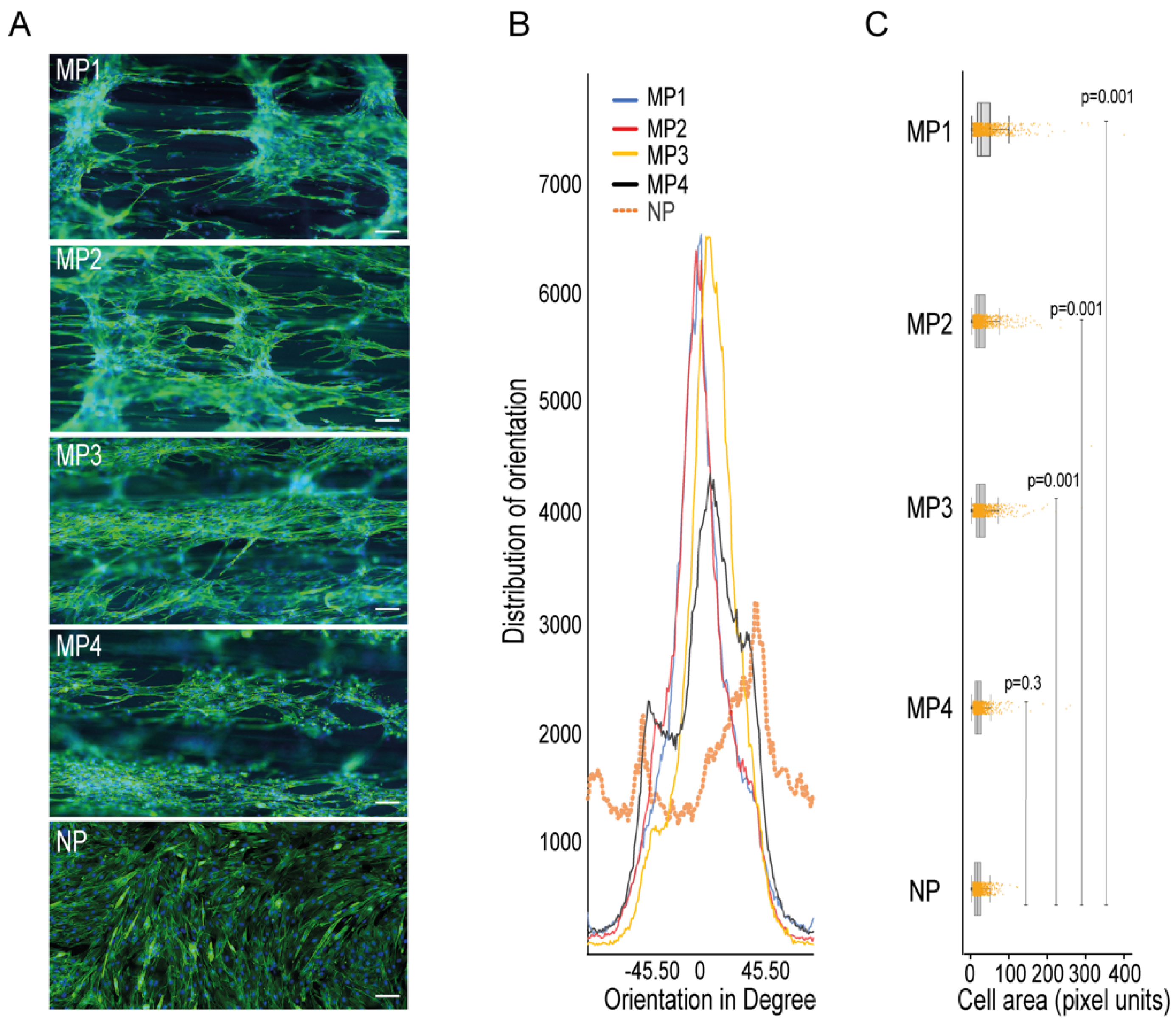 Biomimetics 07 00002 g002