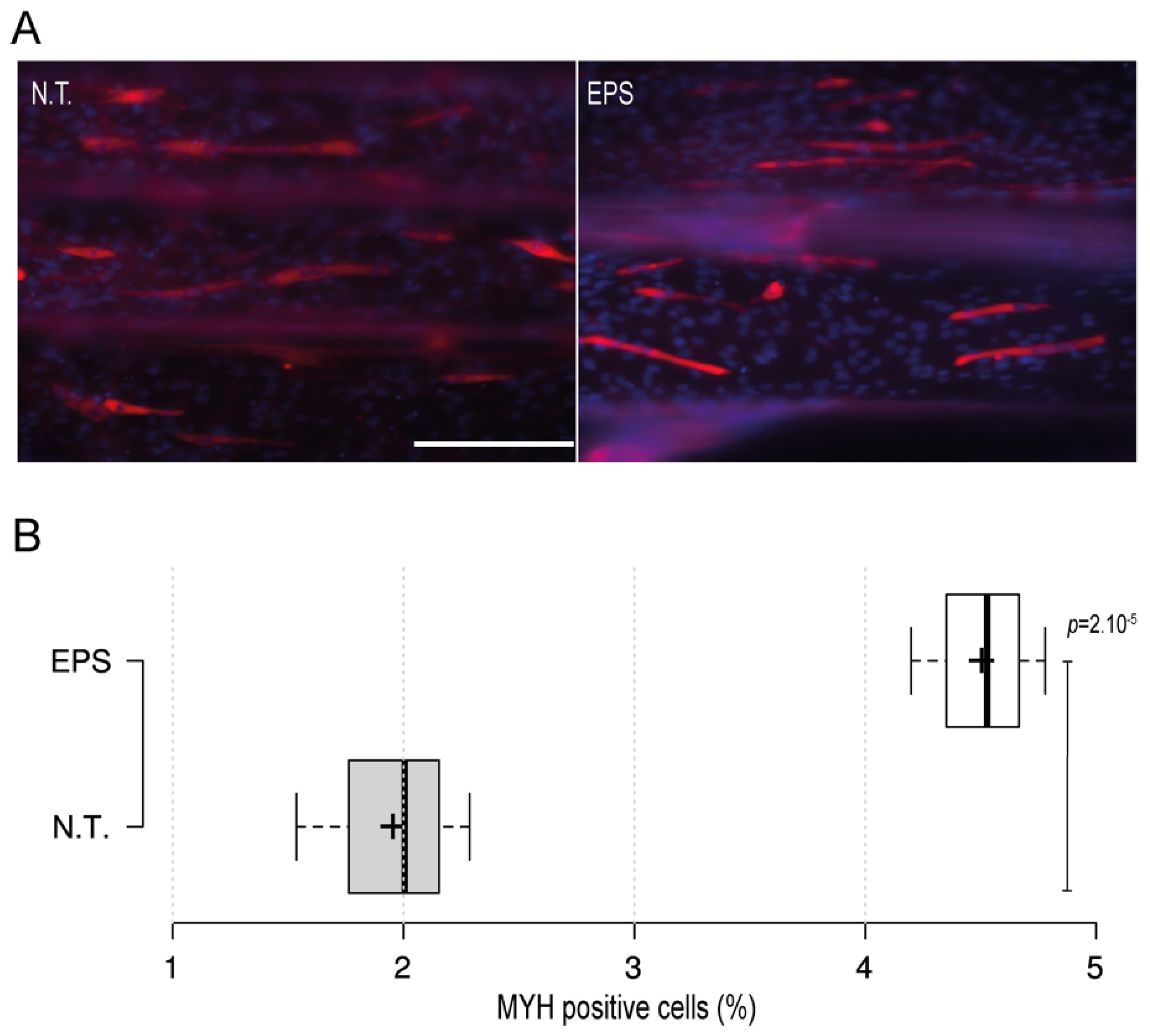 Biomimetics 07 00002 g003