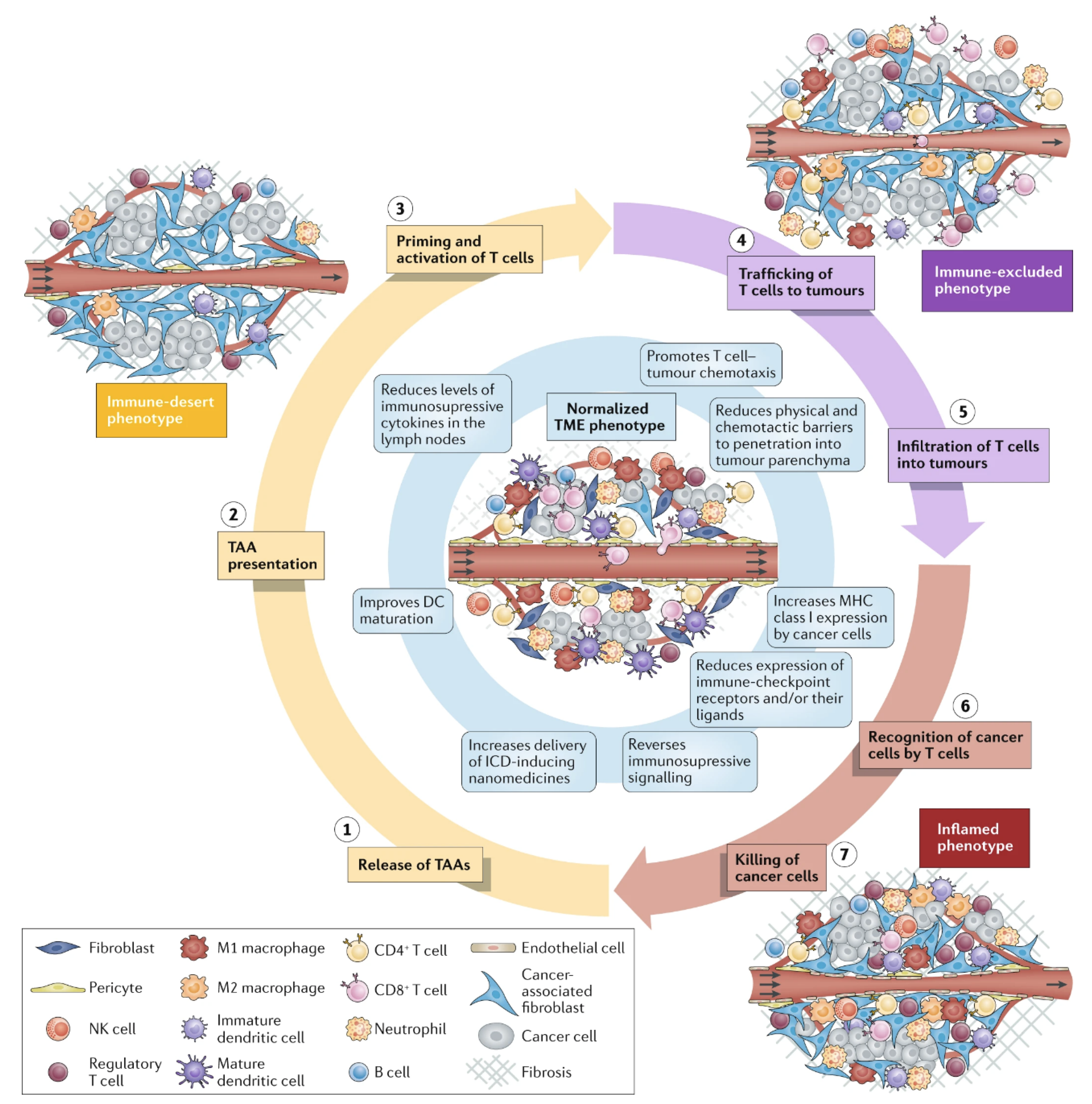 Biomimetics 07 00006 g004