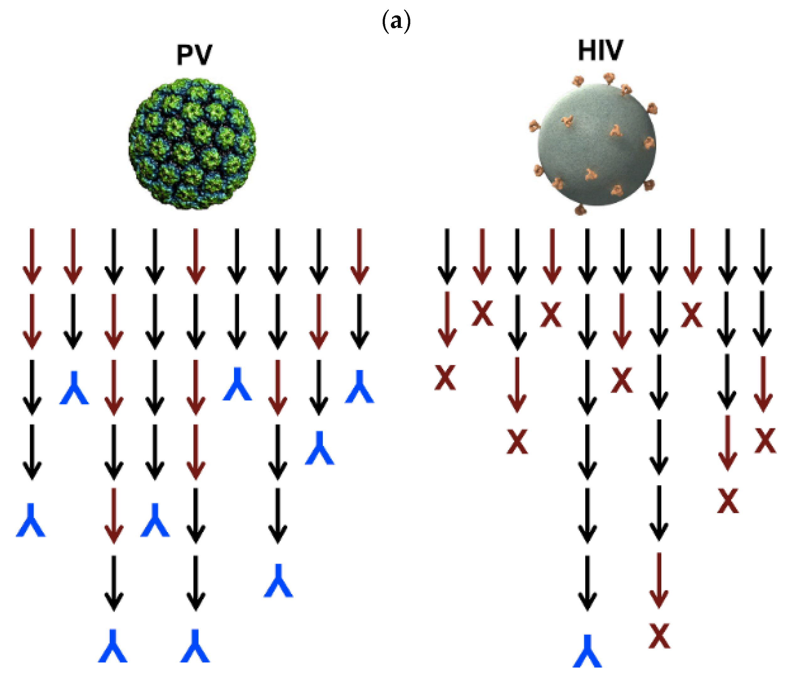 Biomimetics 07 00006 g005a