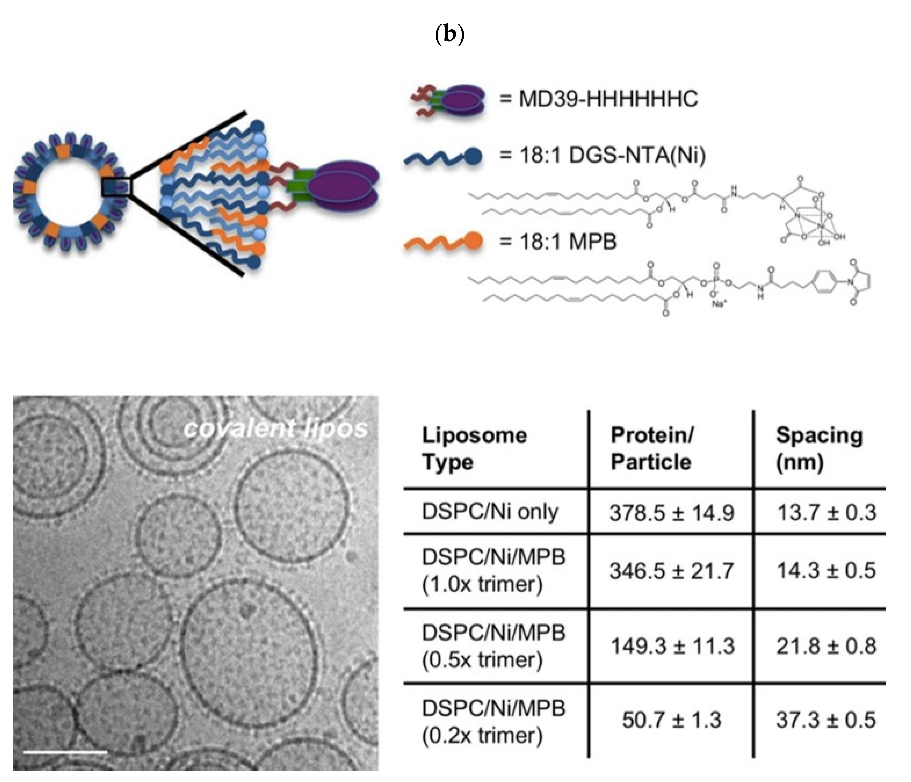 Biomimetics 07 00006 g005b