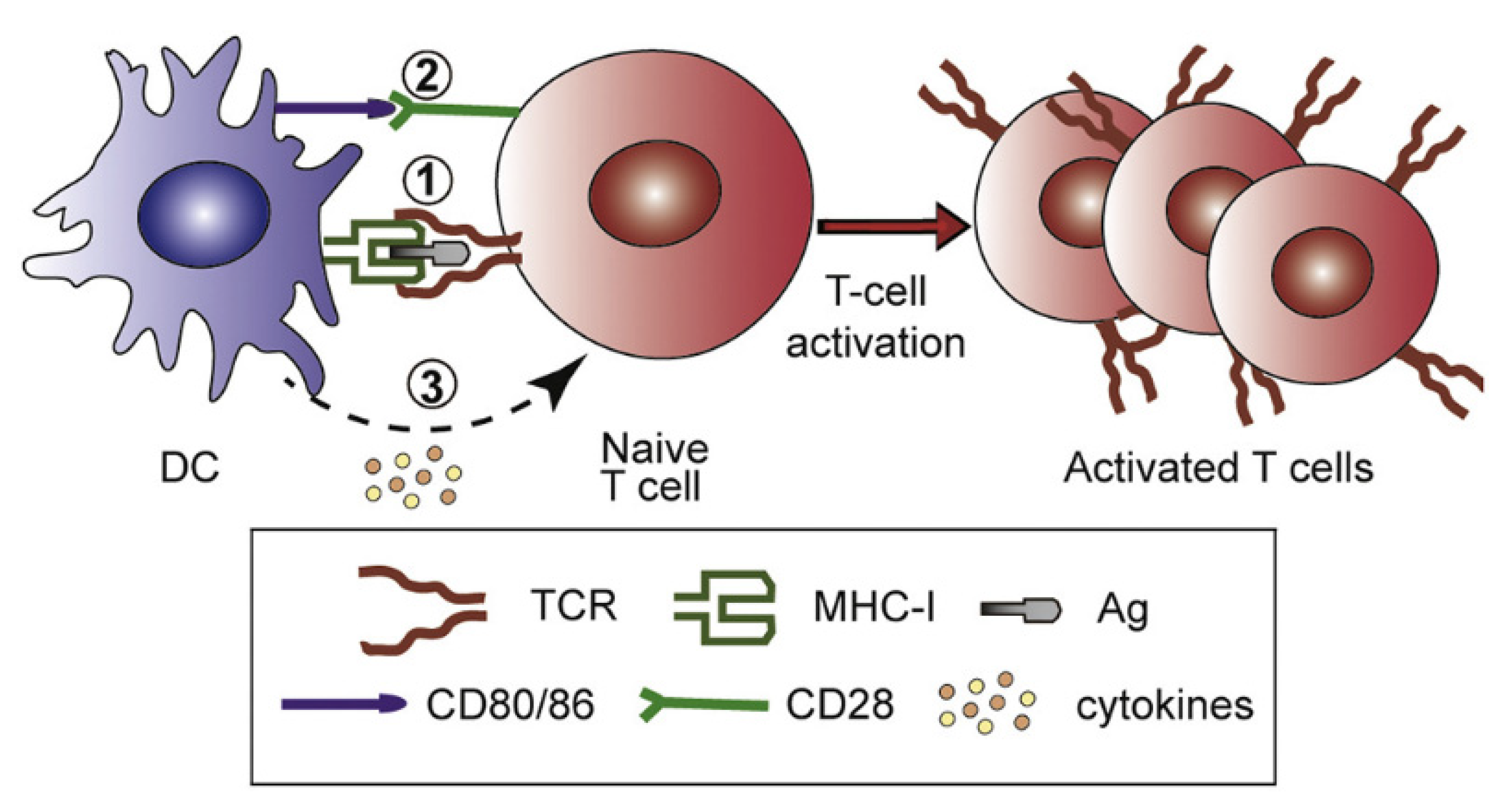 Biomimetics 07 00006 g007