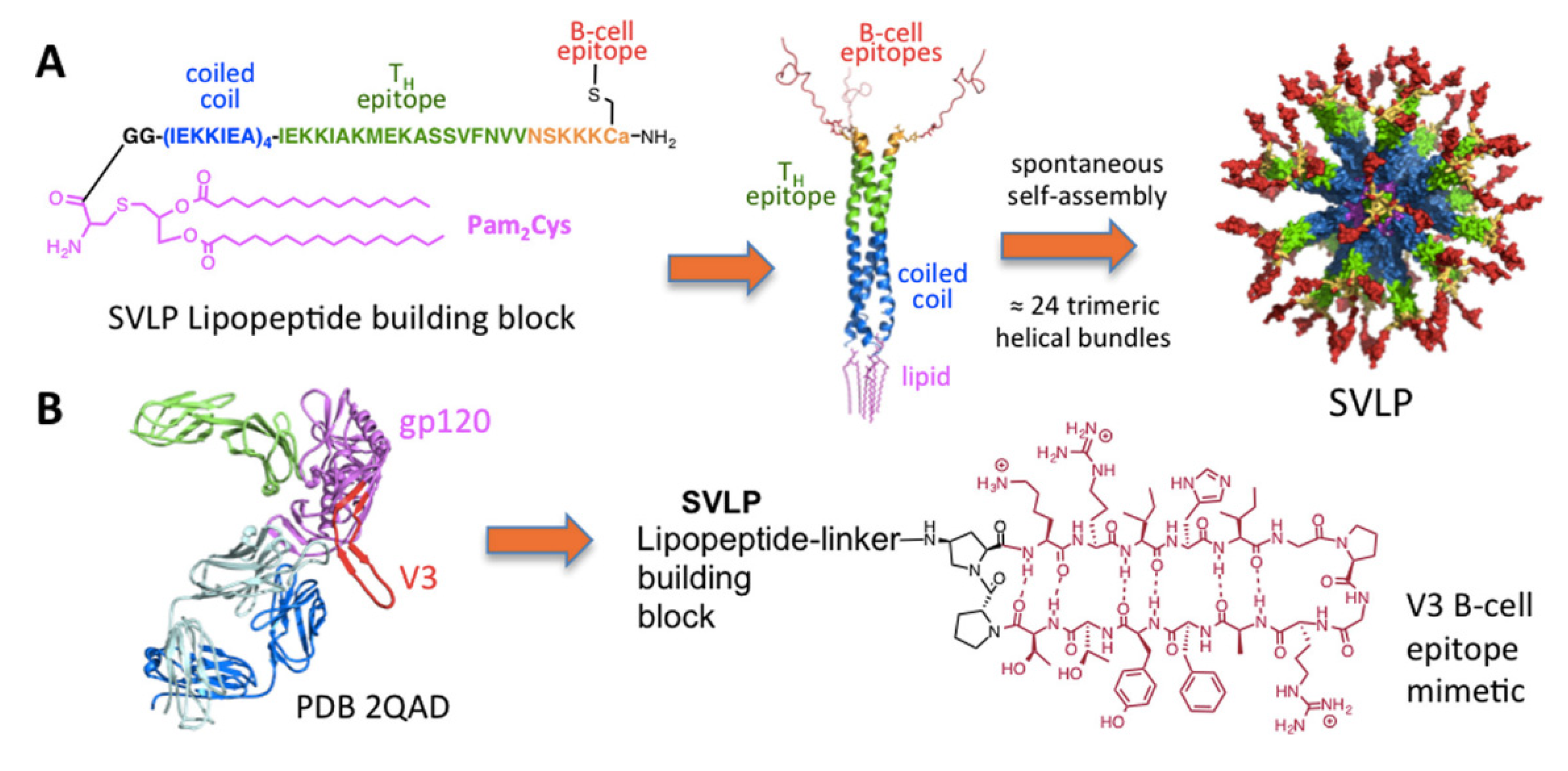 Biomimetics 07 00006 g008