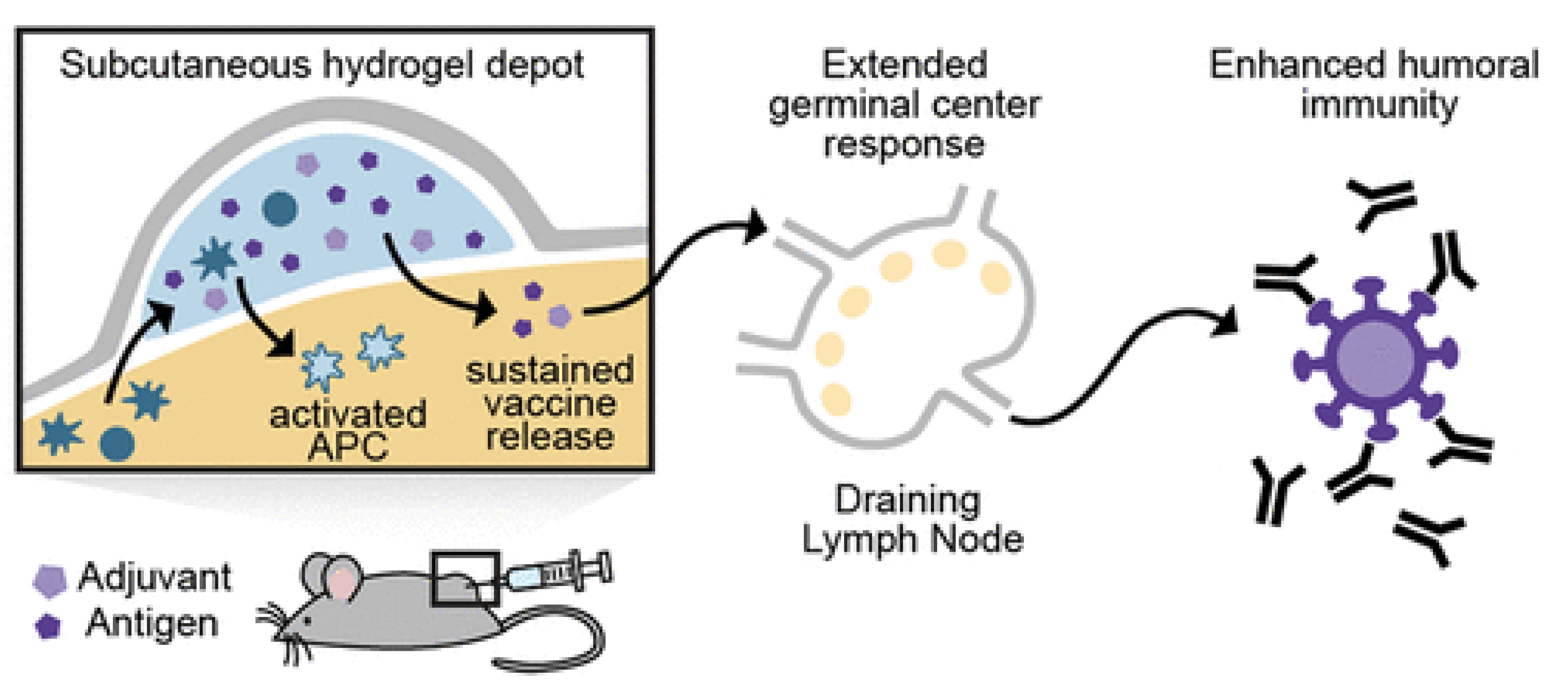 Biomimetics 07 00006 g010