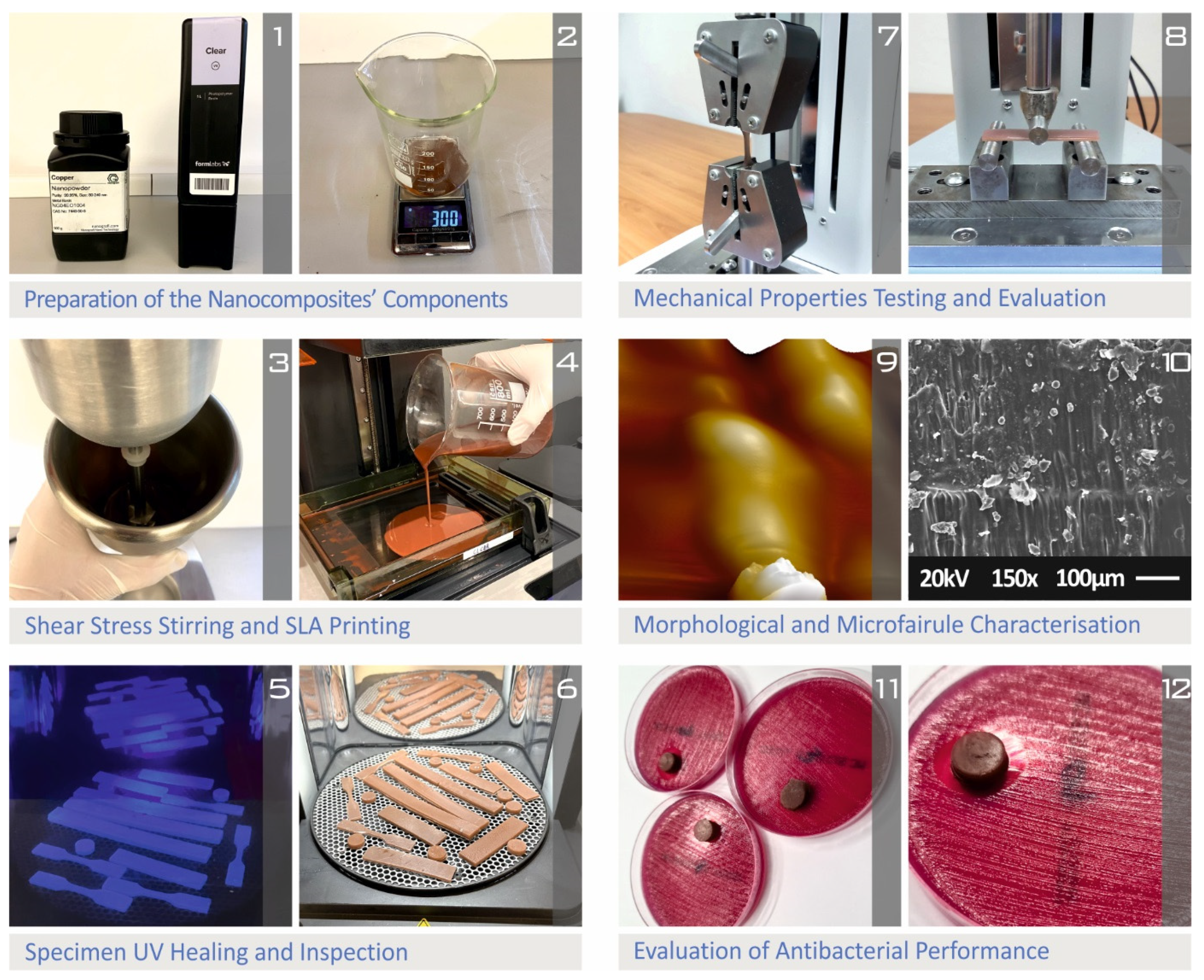 Biomimetics 07 00008 g001