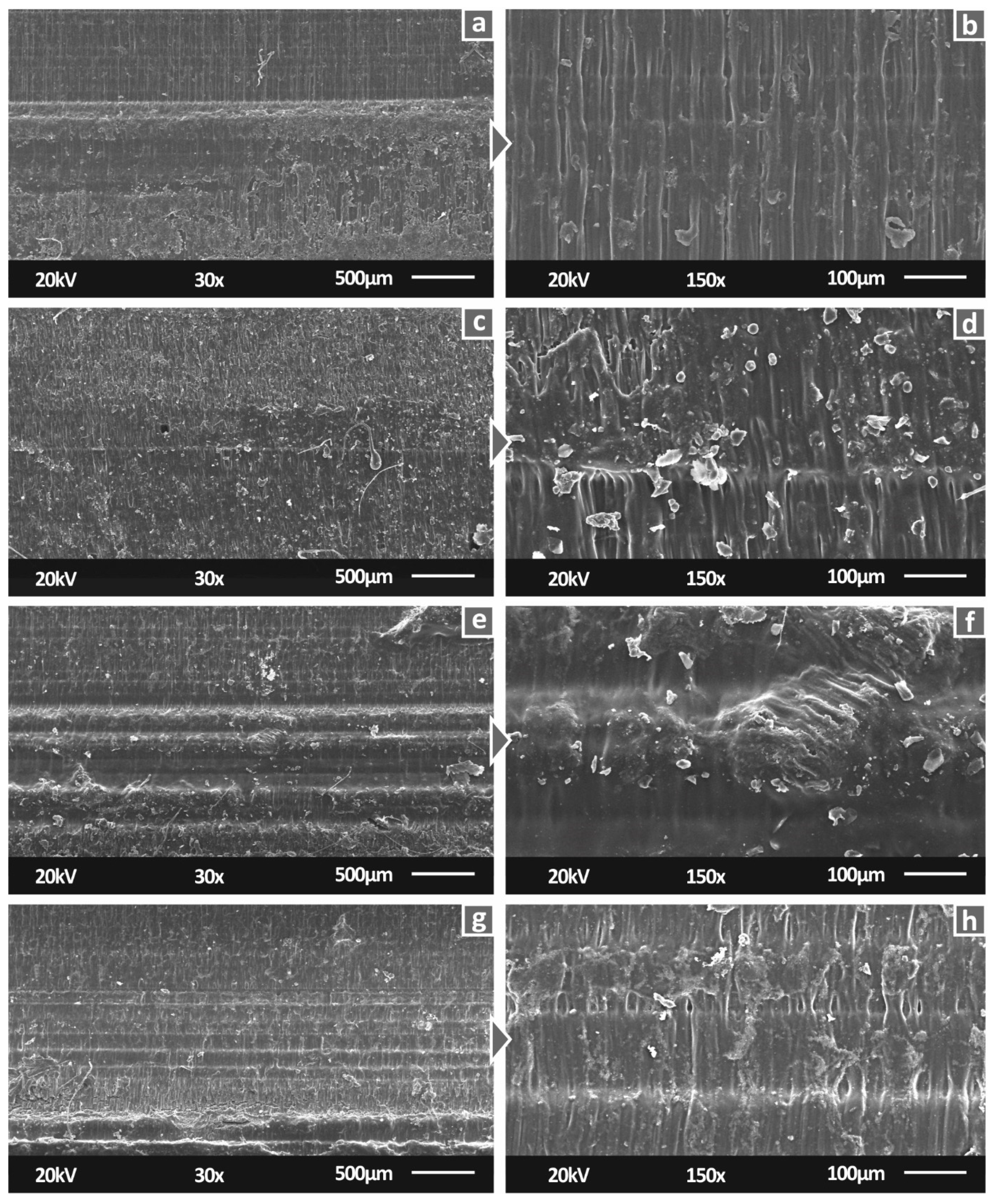 Biomimetics 07 00008 g008