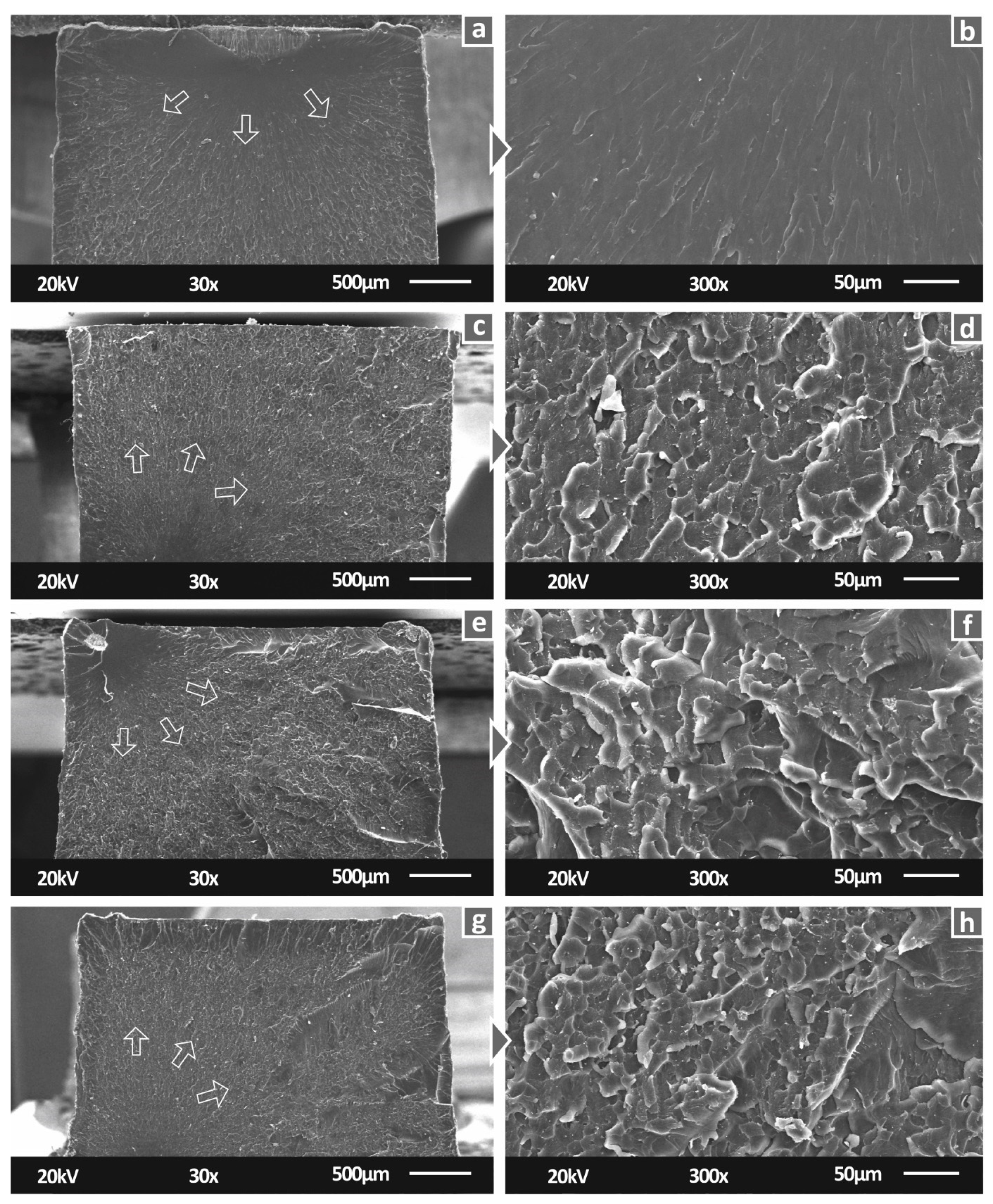 Biomimetics 07 00008 g009