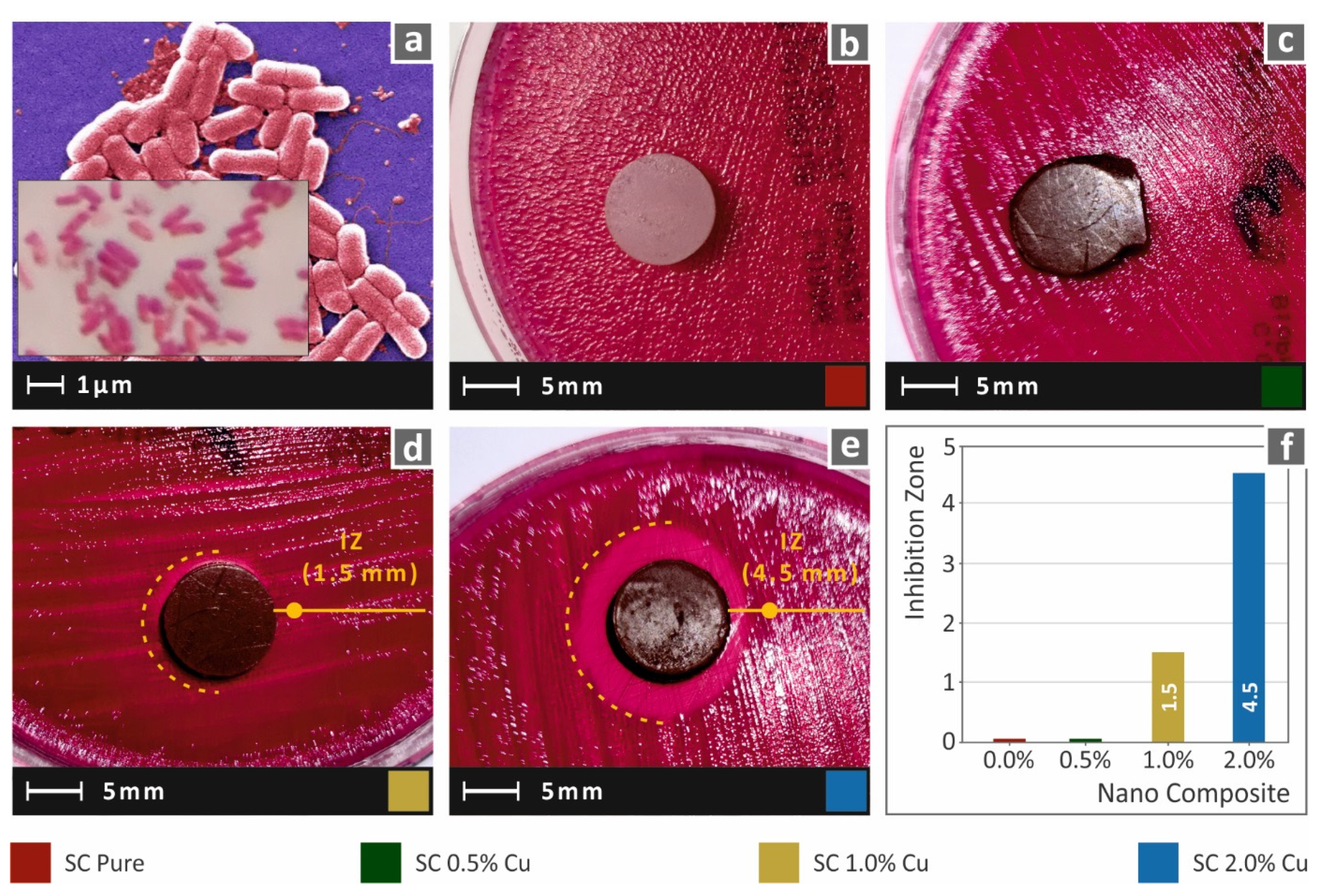 Biomimetics 07 00008 g012