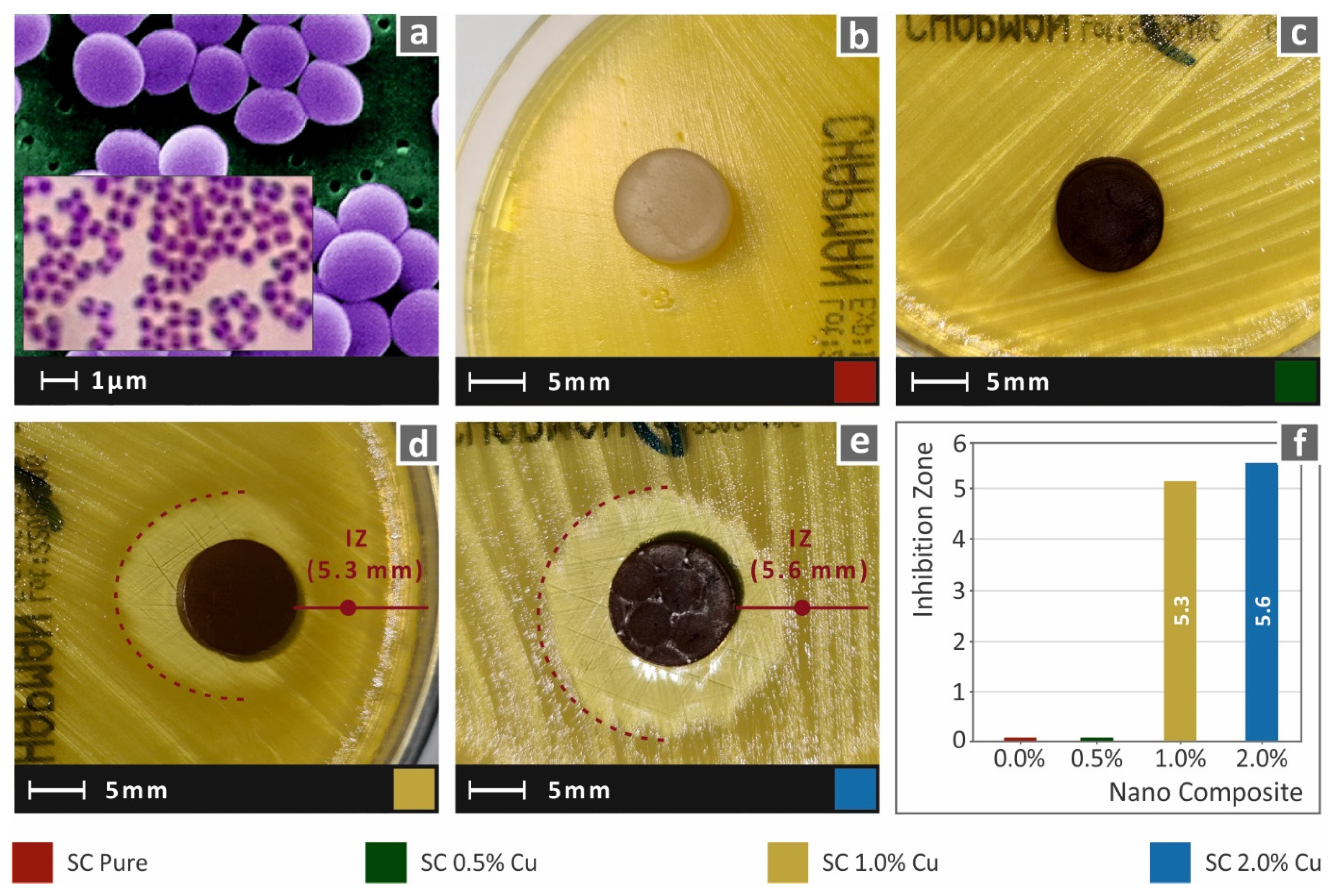 Biomimetics 07 00008 g013
