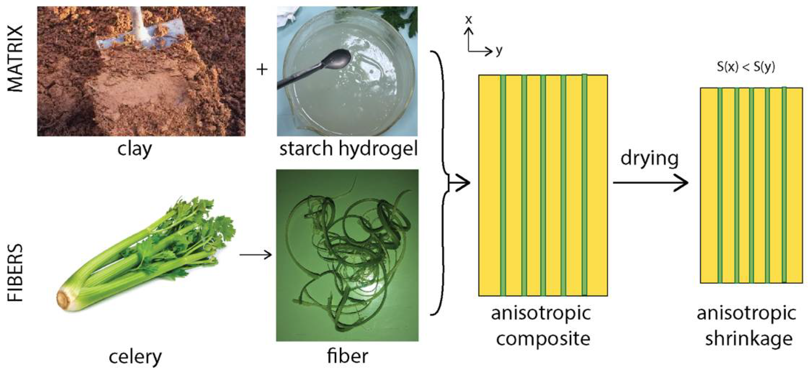 Biomimetics 07 00013 g003