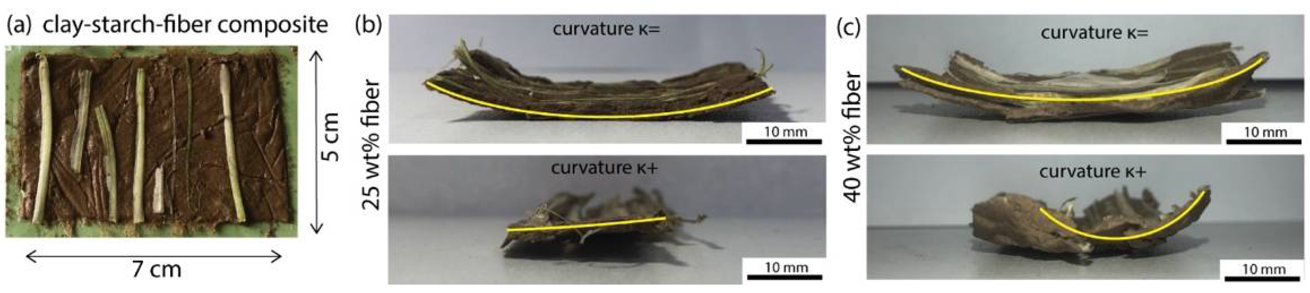 Biomimetics 07 00013 g006
