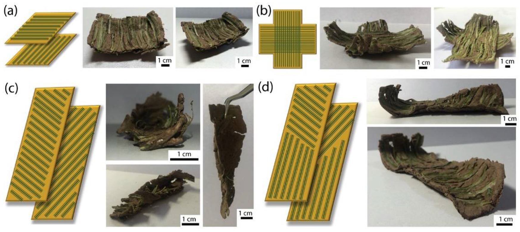 Biomimetics 07 00013 g008