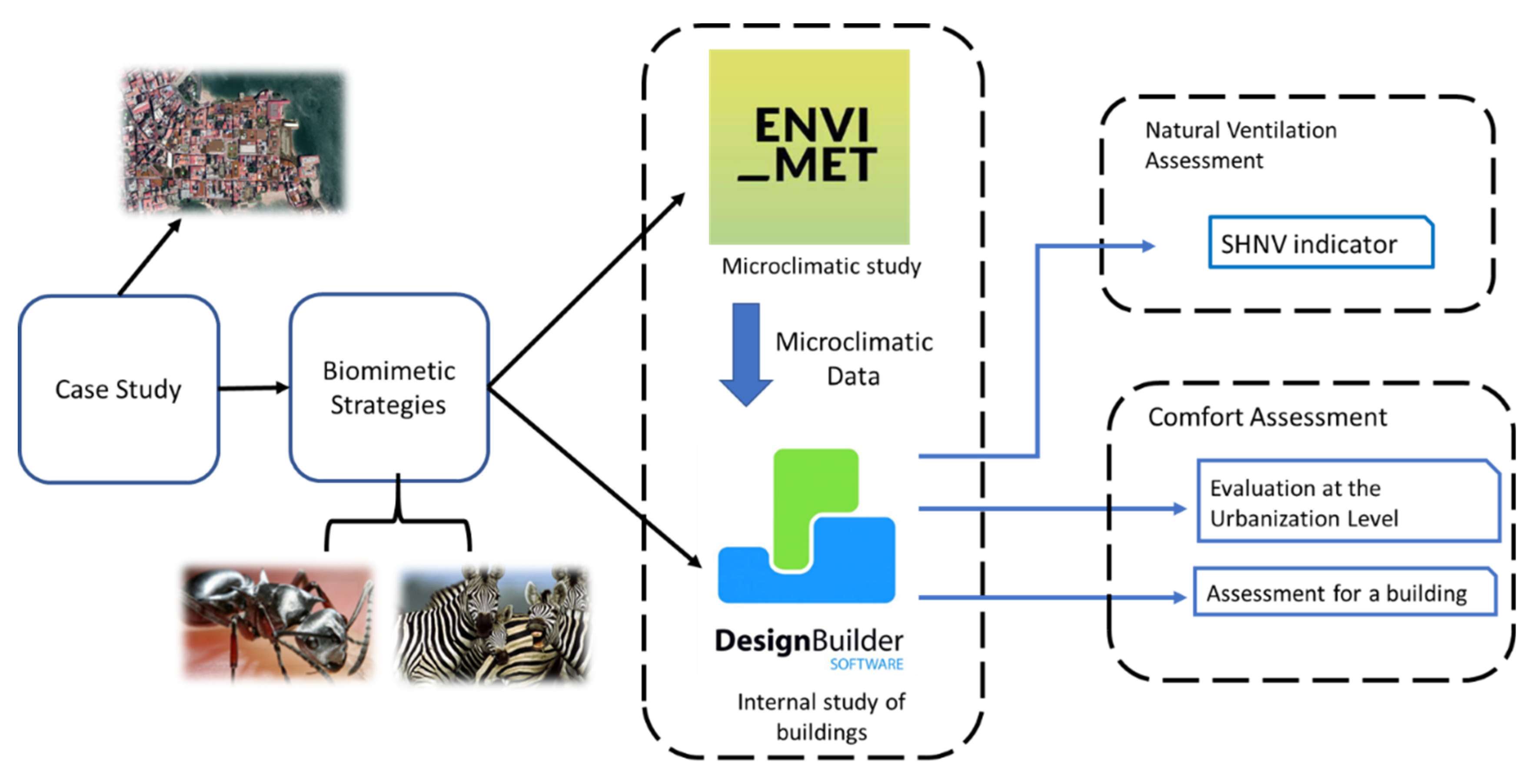 Biomimetics 07 00014 g001