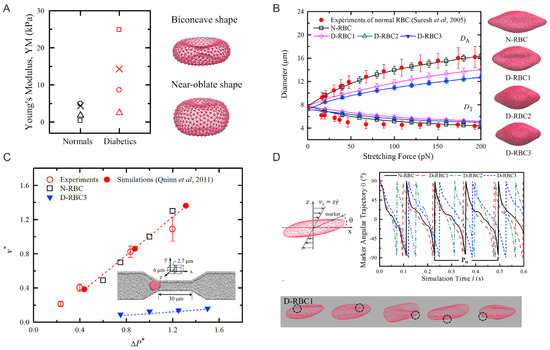 Biomimetics 07 00015 g001