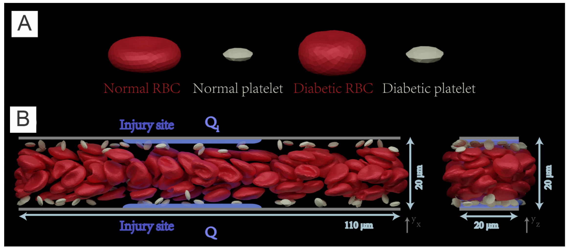 Biomimetics 07 00015 g006 Biomimetics 07 00015 g006