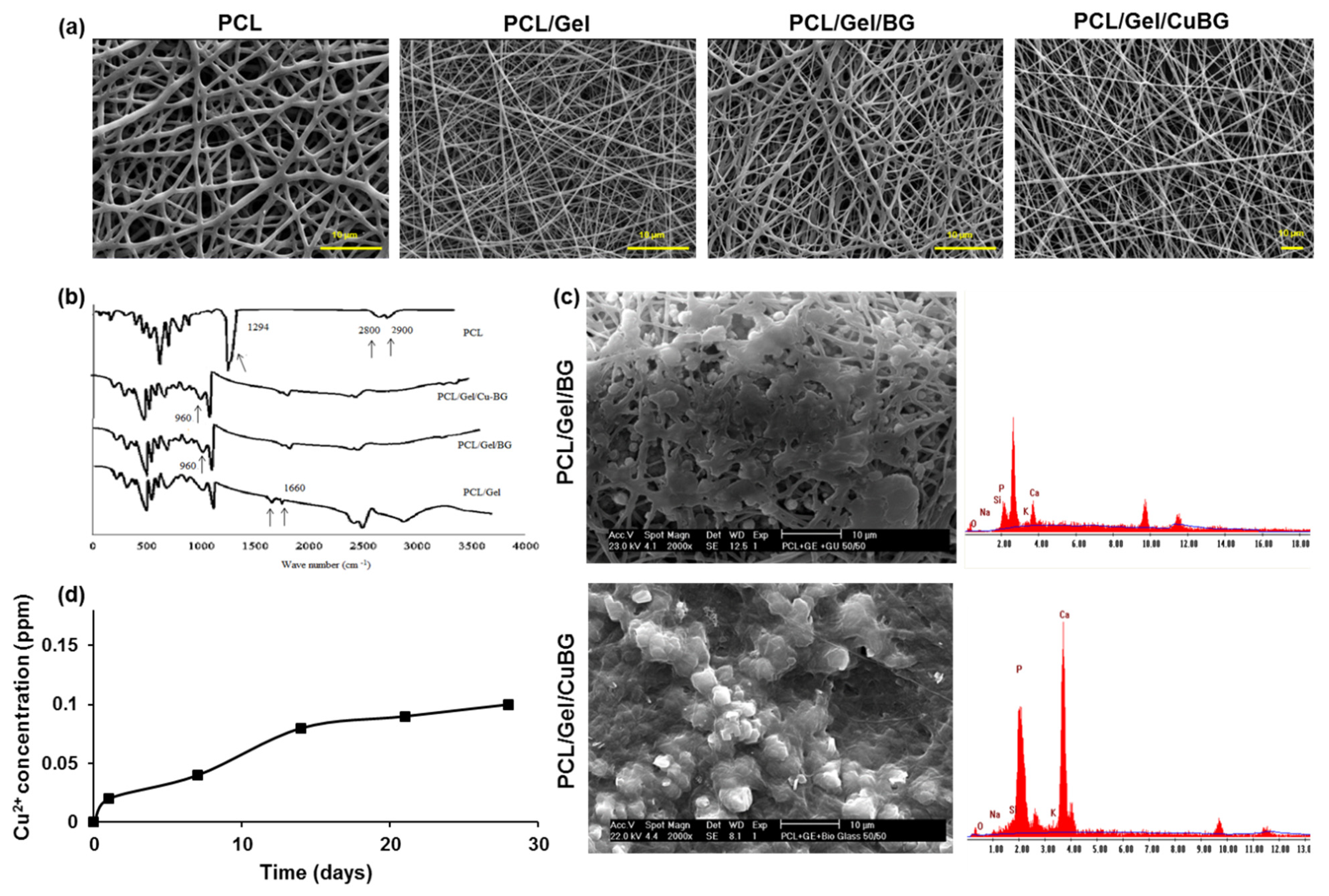Biomimetics 07 00019 g002 Biomimetics 07 00019 g002