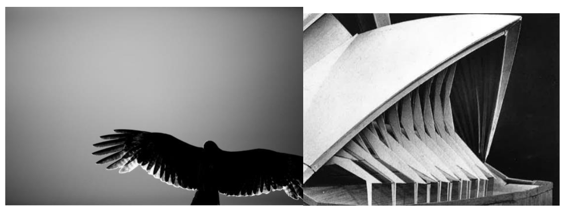 Biomimetics 07 00024 g011