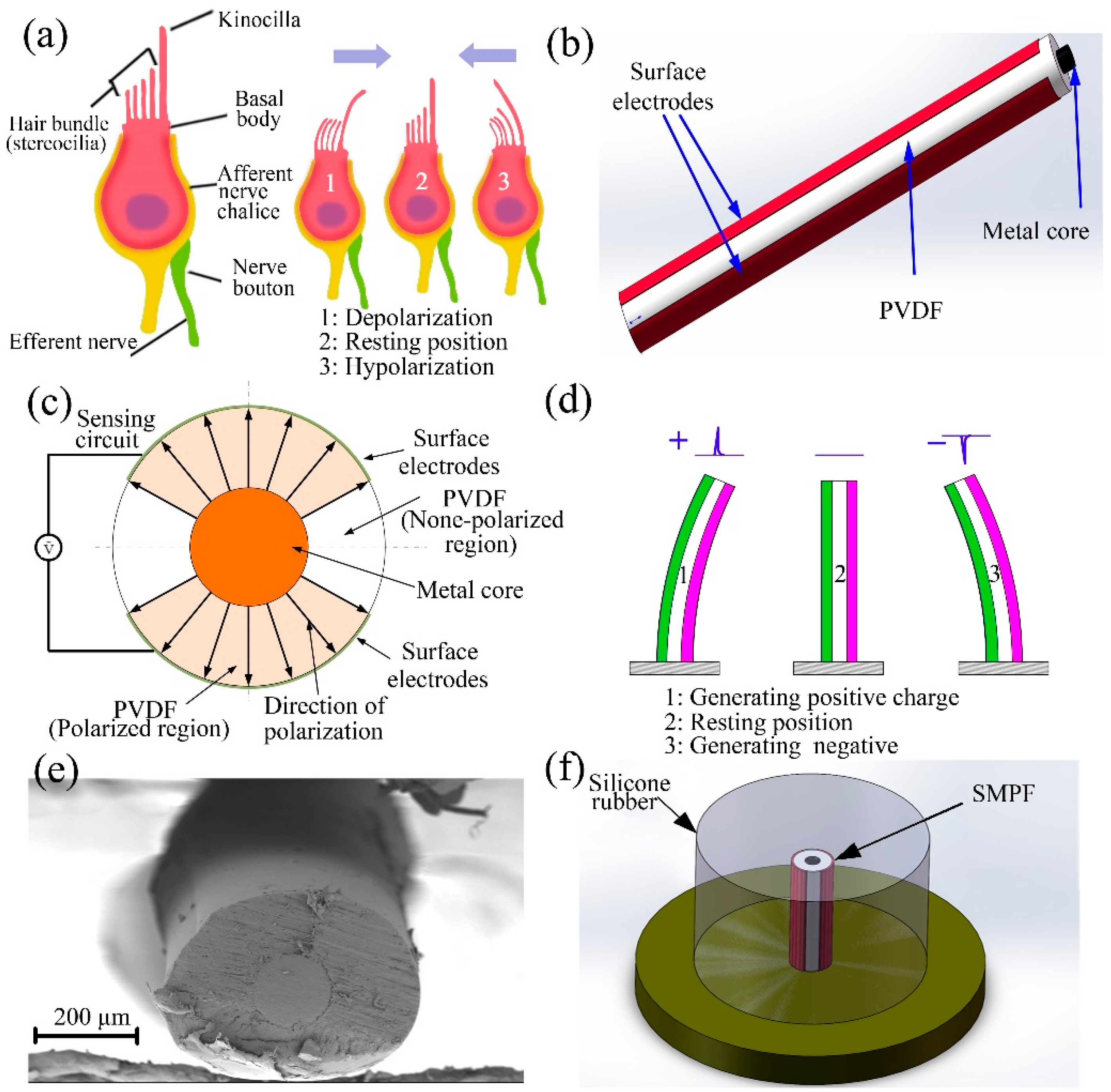 Biomimetics 07 00028 g001
