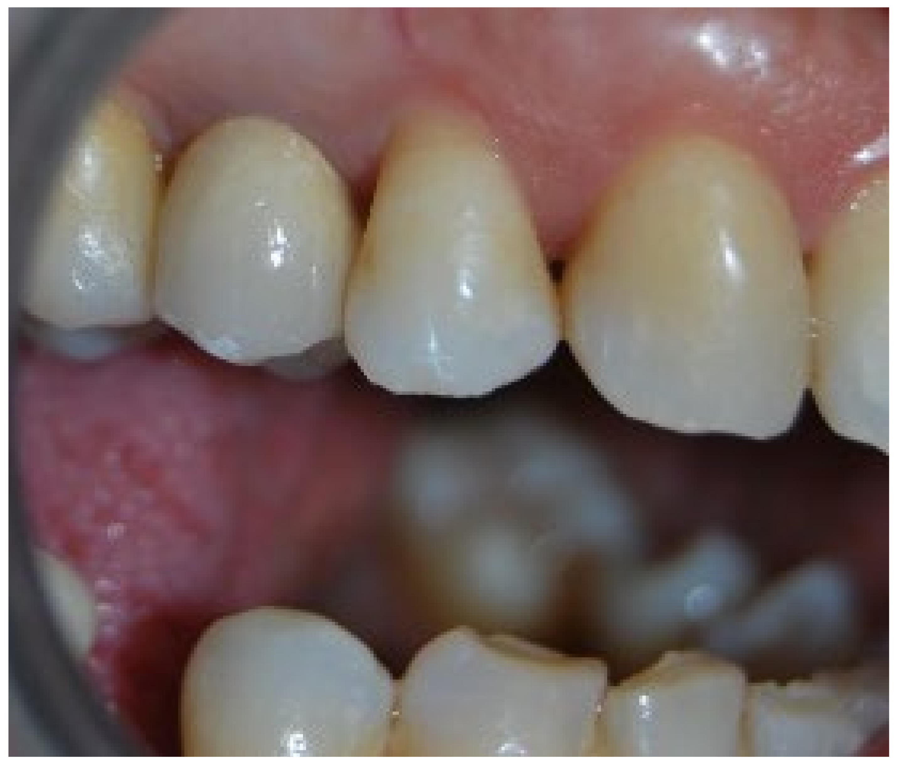 Biomimetics 07 00032 g001