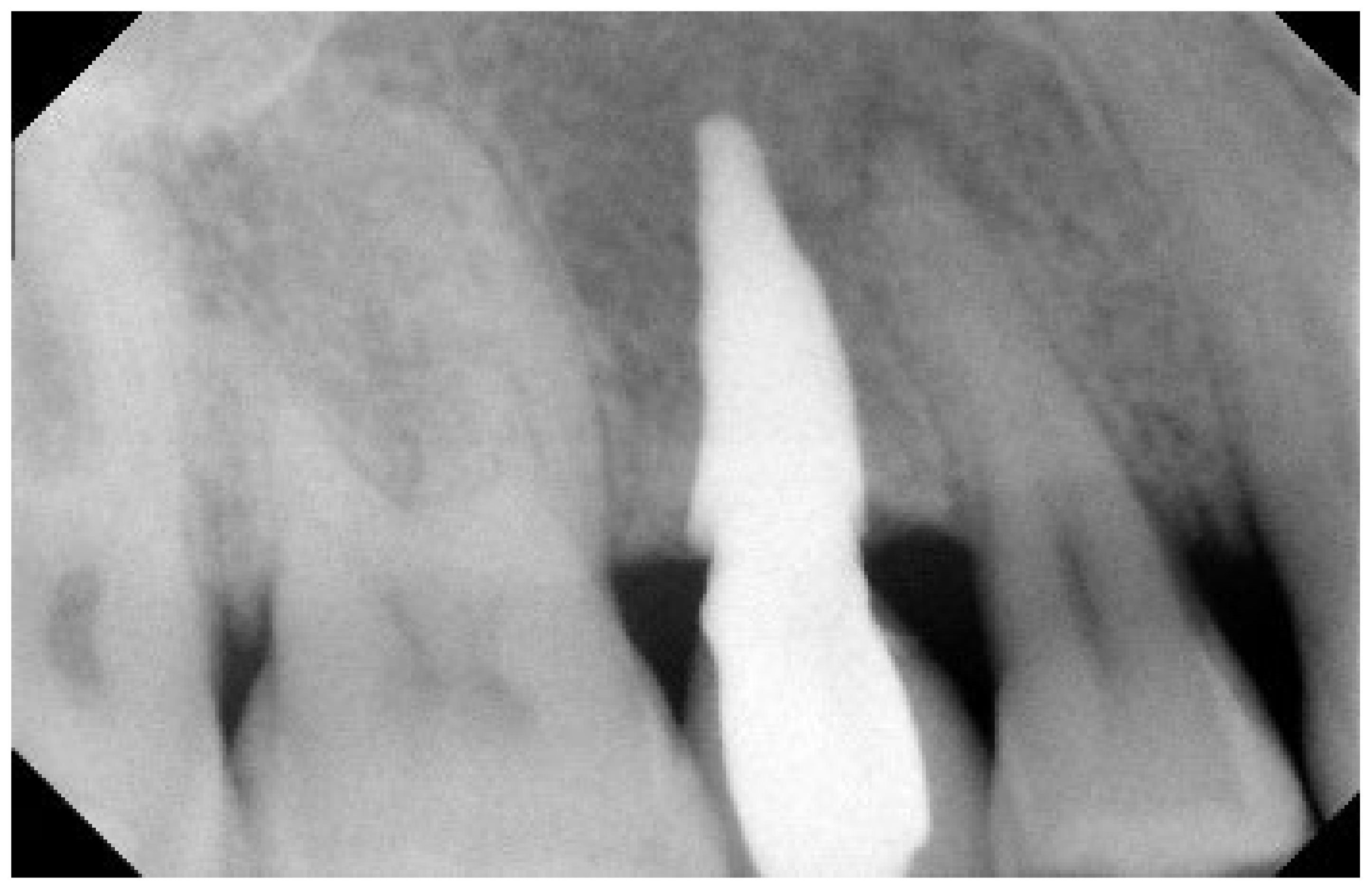 Biomimetics 07 00032 g004