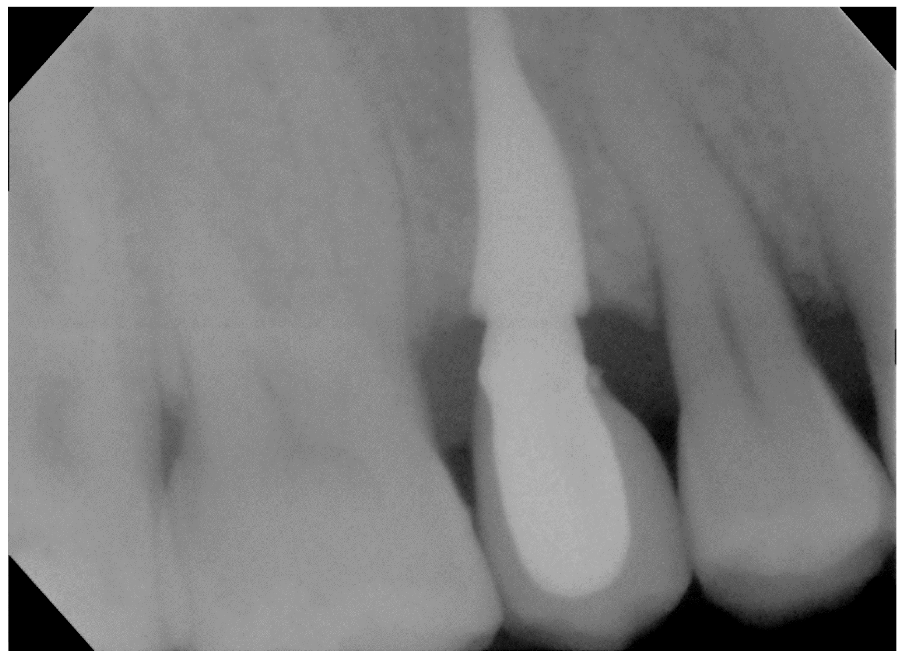 Biomimetics 07 00032 g006