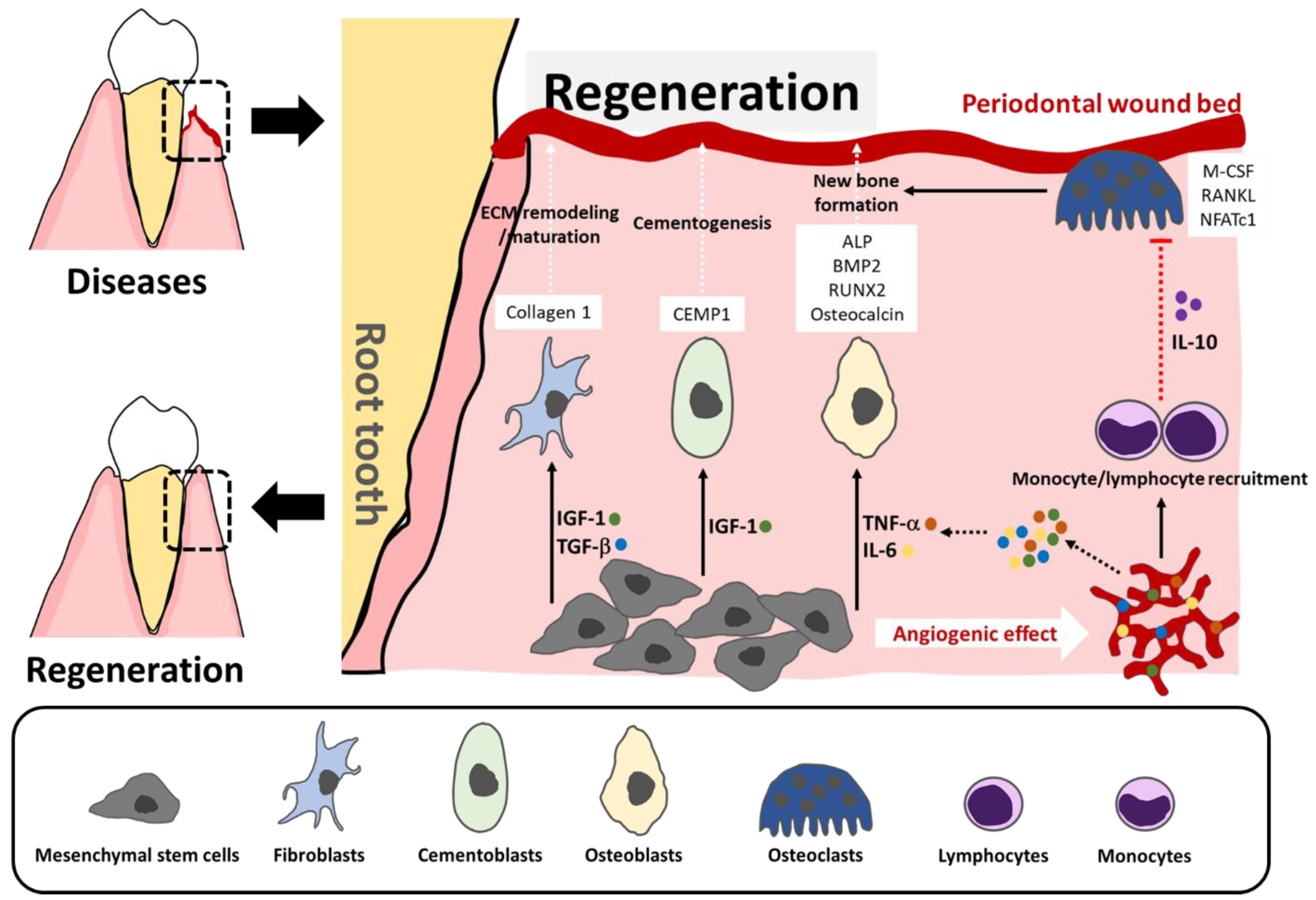 Biomimetics 07 00034 g001