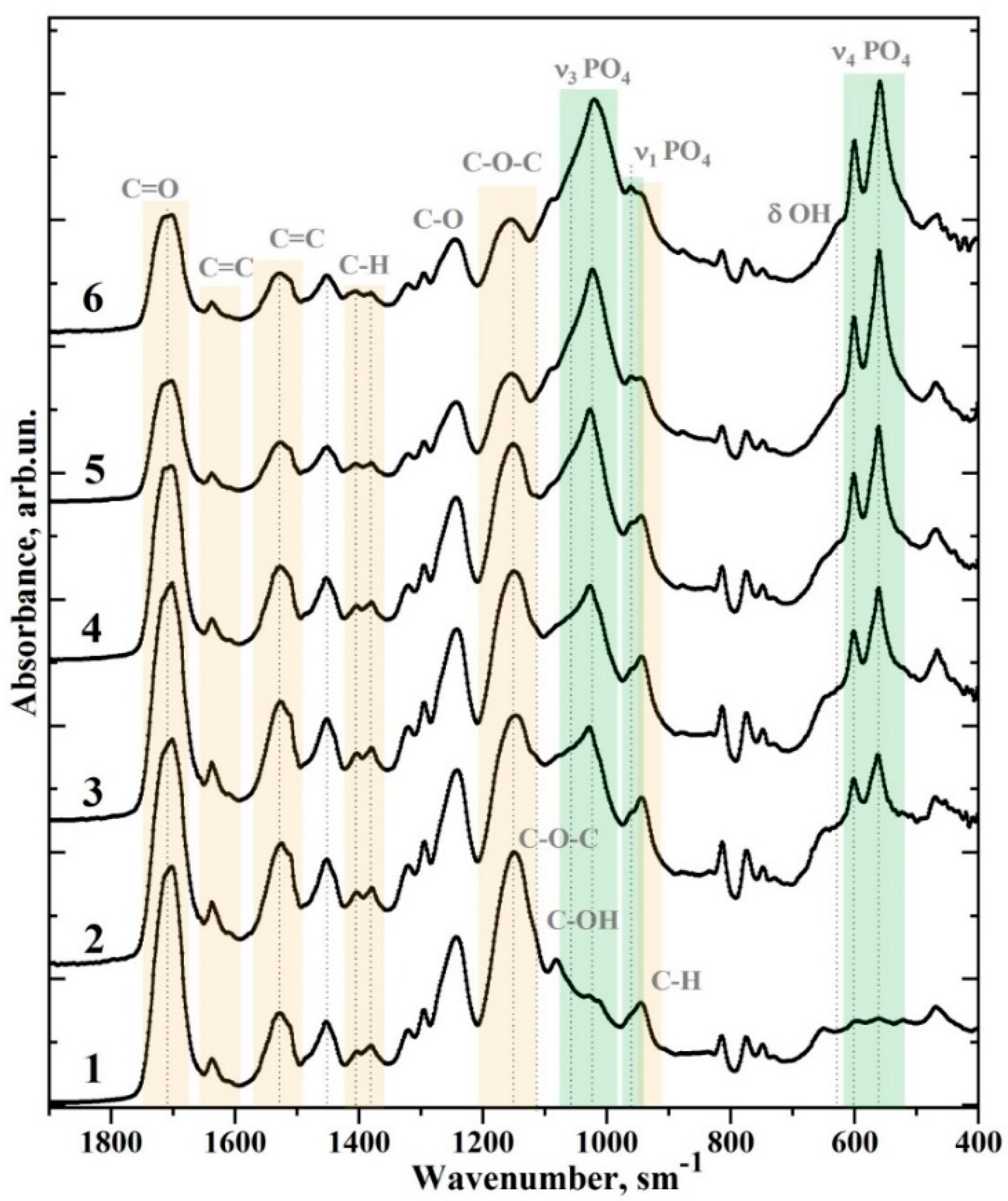 Biomimetics 07 00035 g002