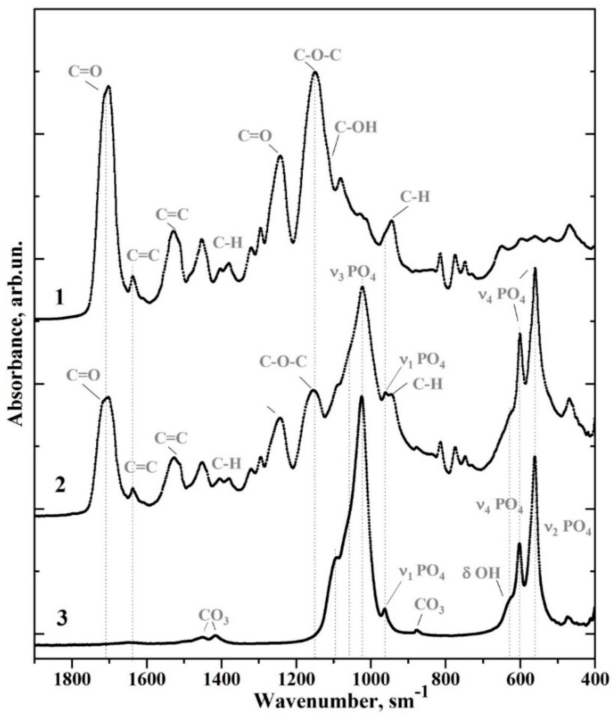 Biomimetics 07 00035 g003