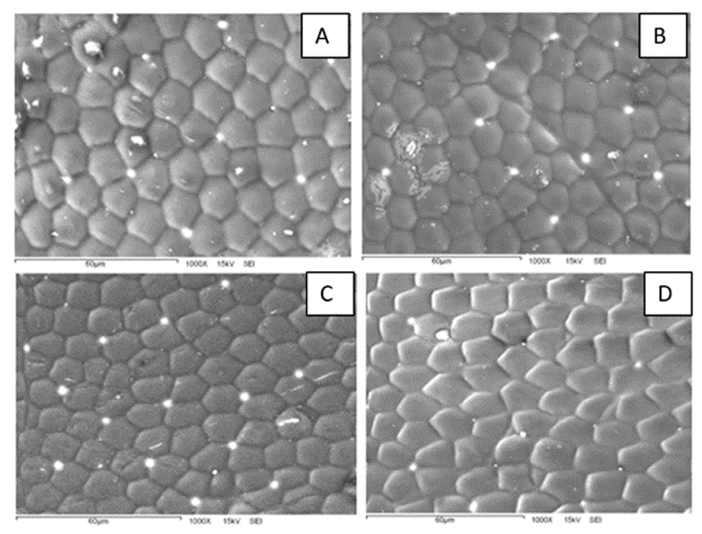 Biomimetics 07 00038 g004