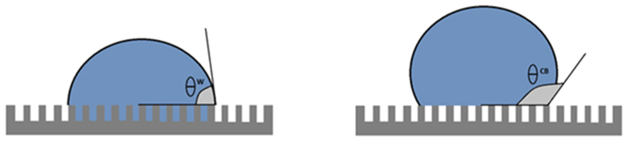 Biomimetics 07 00038 g008