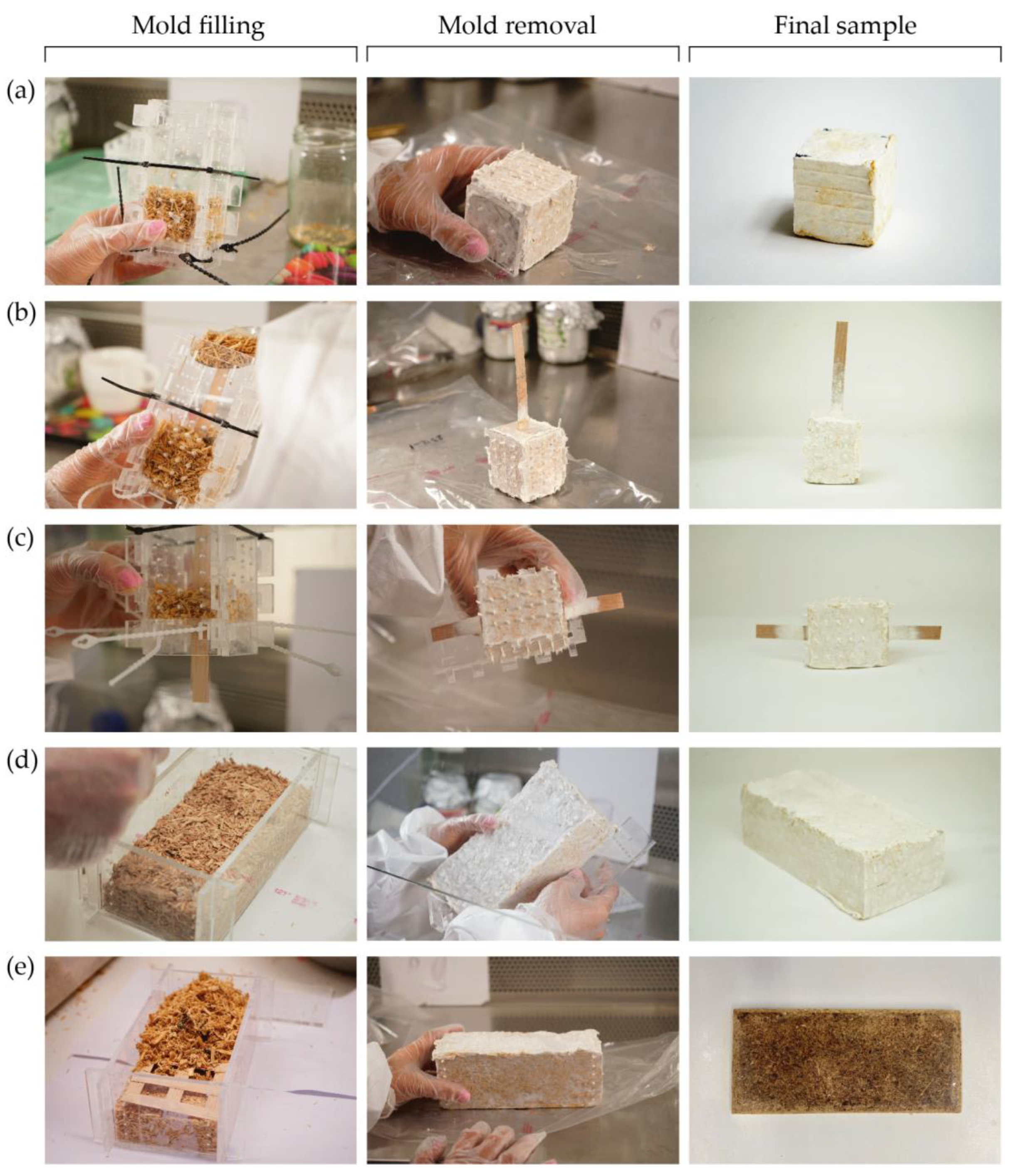 Biomimetics 07 00039 g005