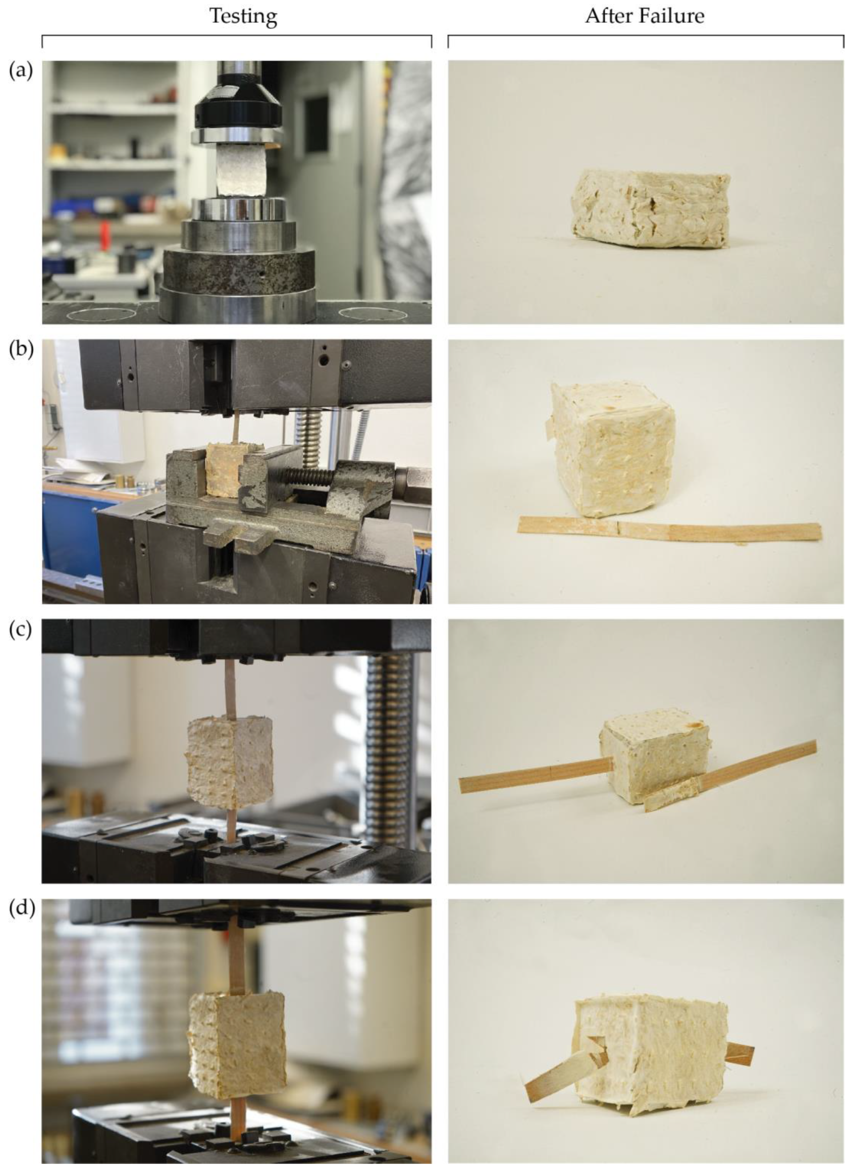 Biomimetics 07 00039 g007