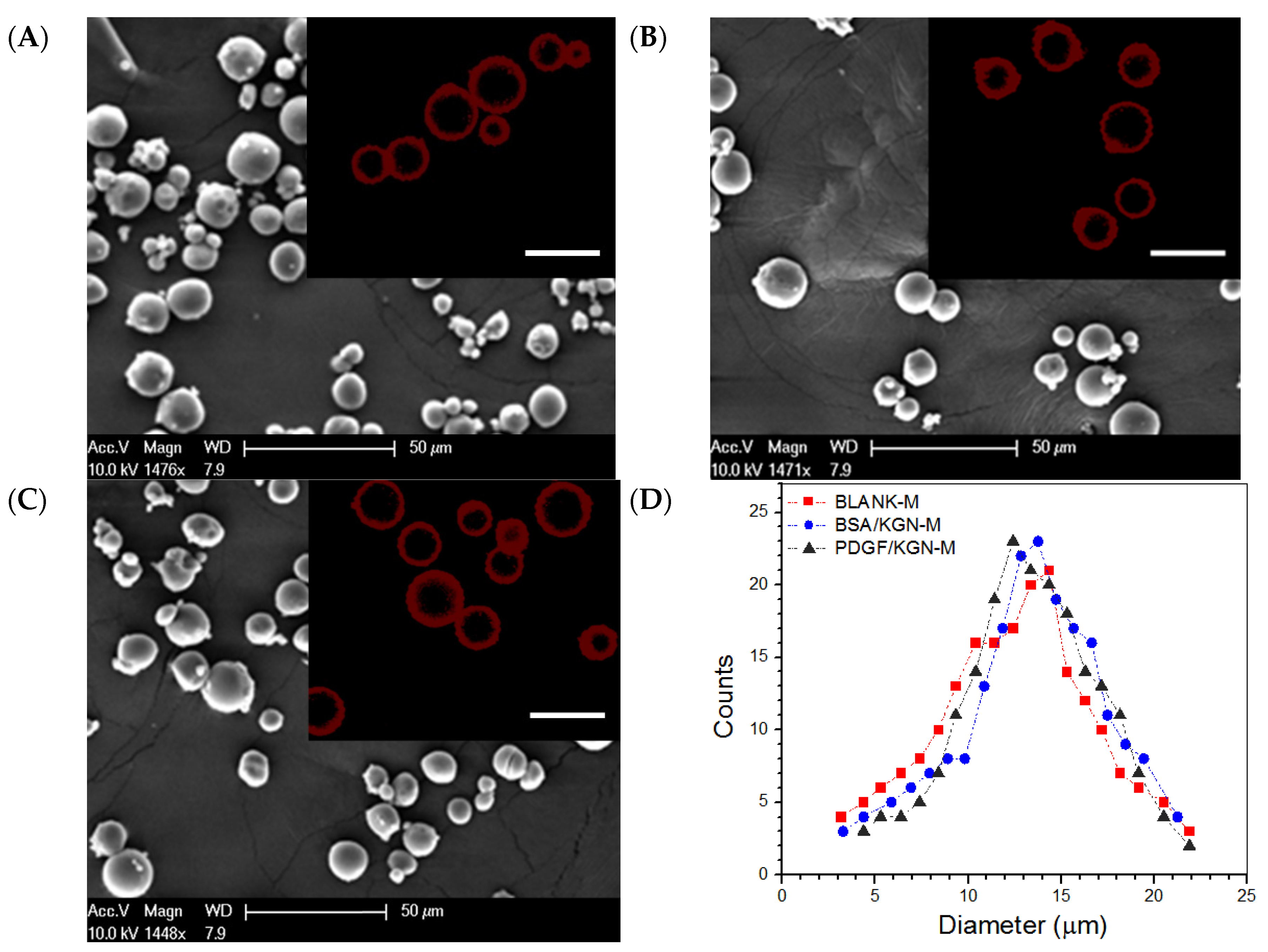 Biomimetics 07 00041 g001