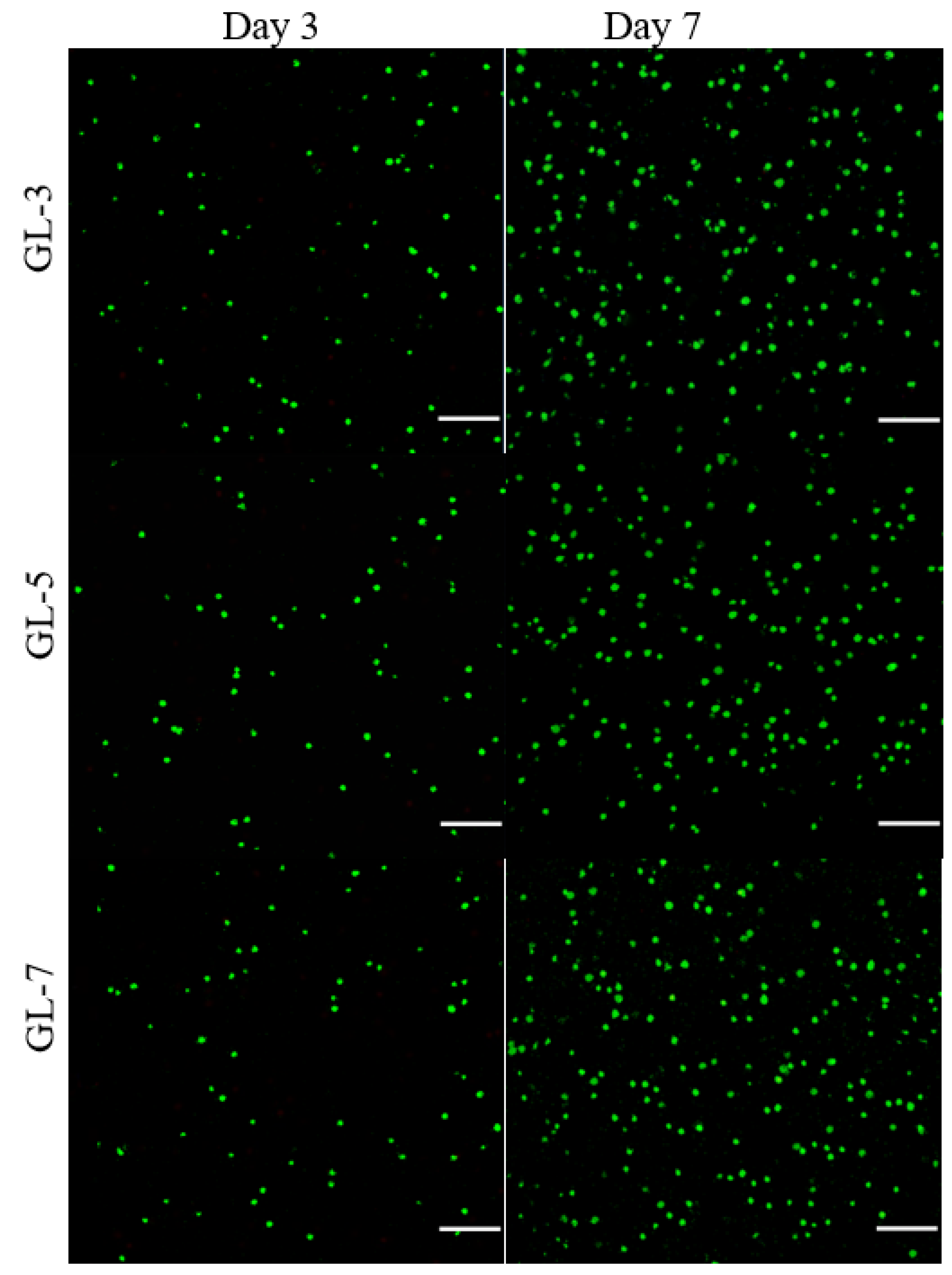 Biomimetics 07 00041 g005