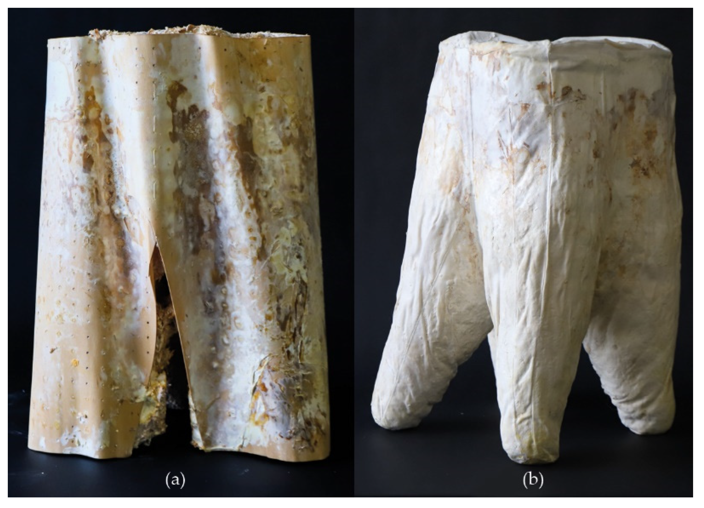 Biomimetics 07 00042 g001