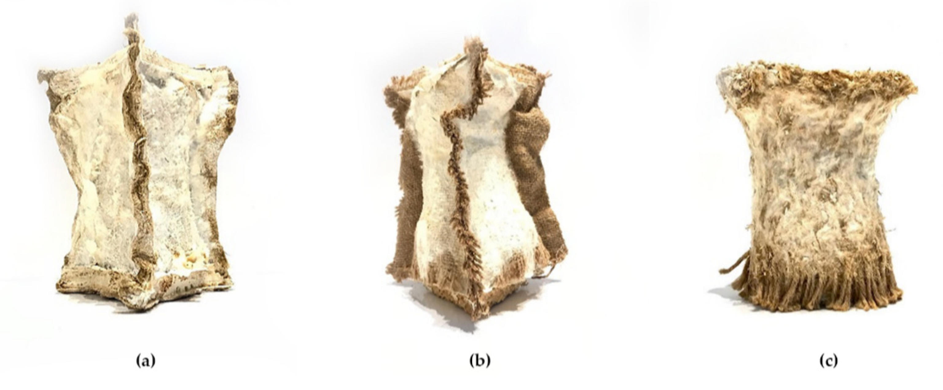 Biomimetics 07 00042 g006