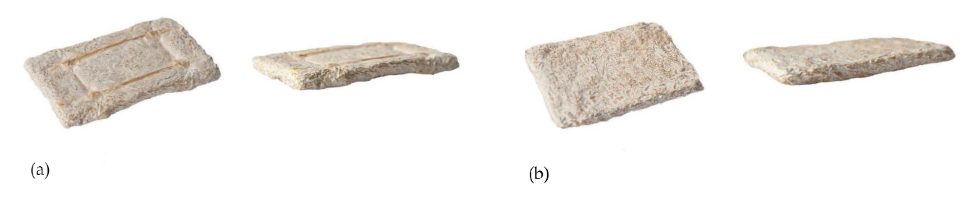 Biomimetics 07 00042 g007