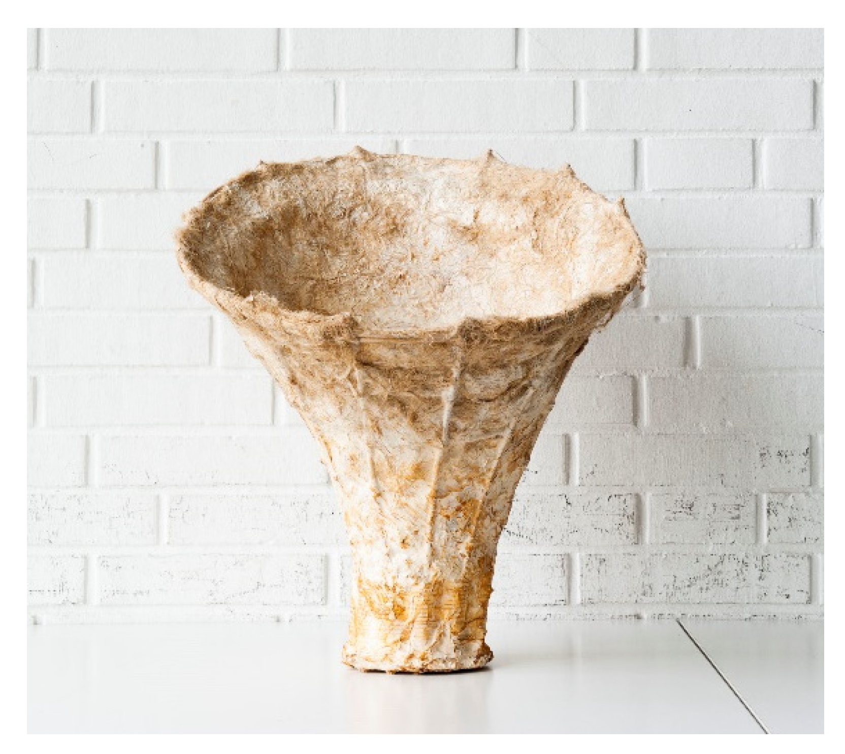 Biomimetics 07 00042 g013