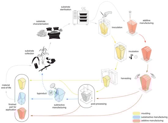 Biomimetics 07 00044 g001 550