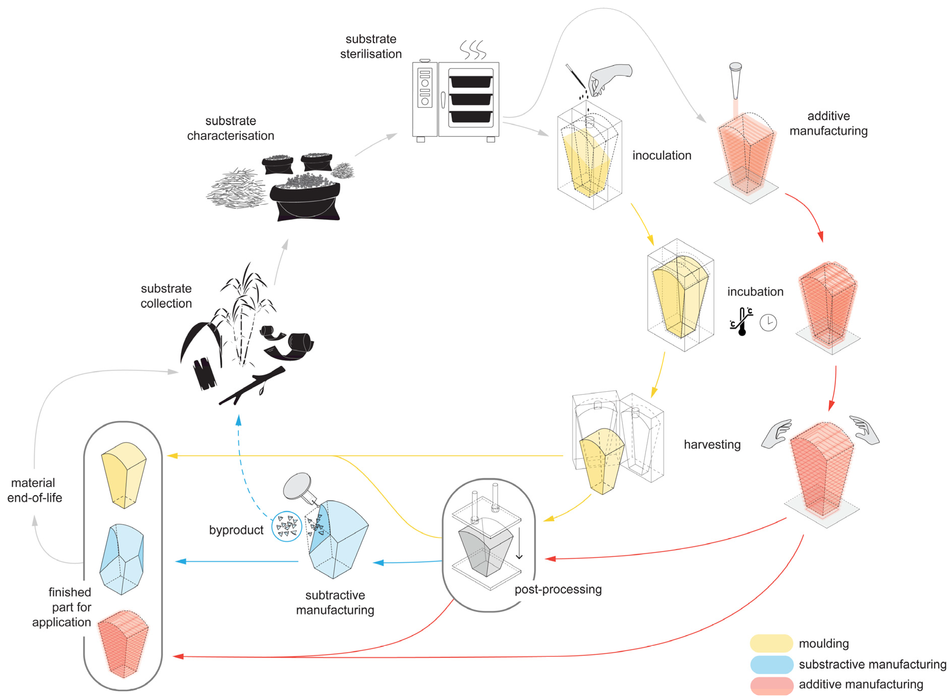 Biomimetics 07 00044 g001
