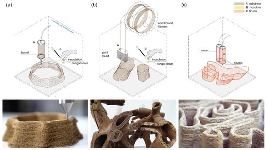 Biomimetics 07 00044 g005 550
