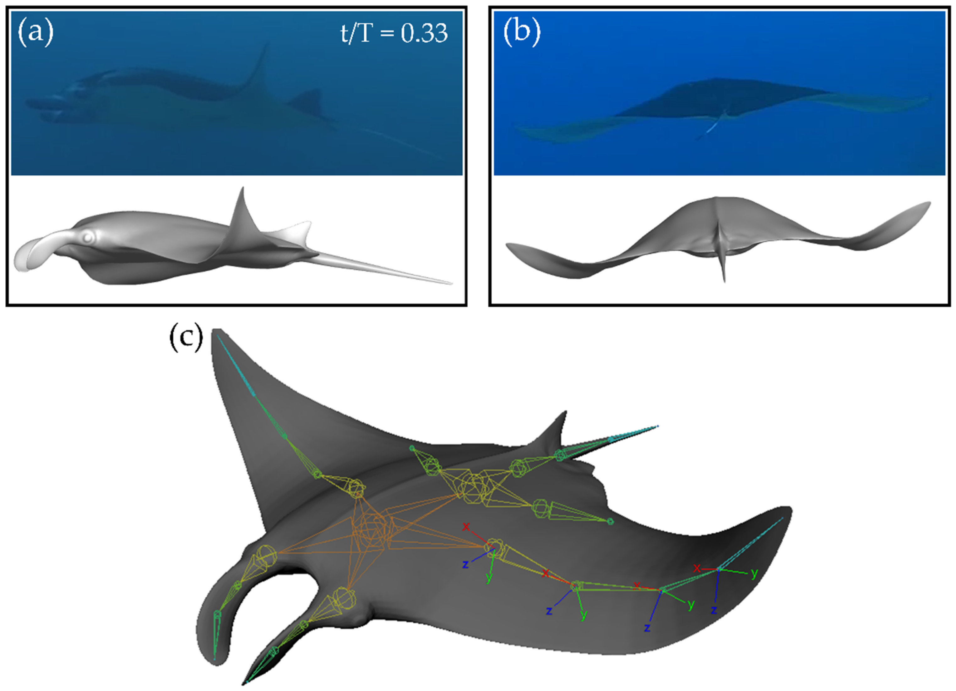Biomimetics 07 00045 g001