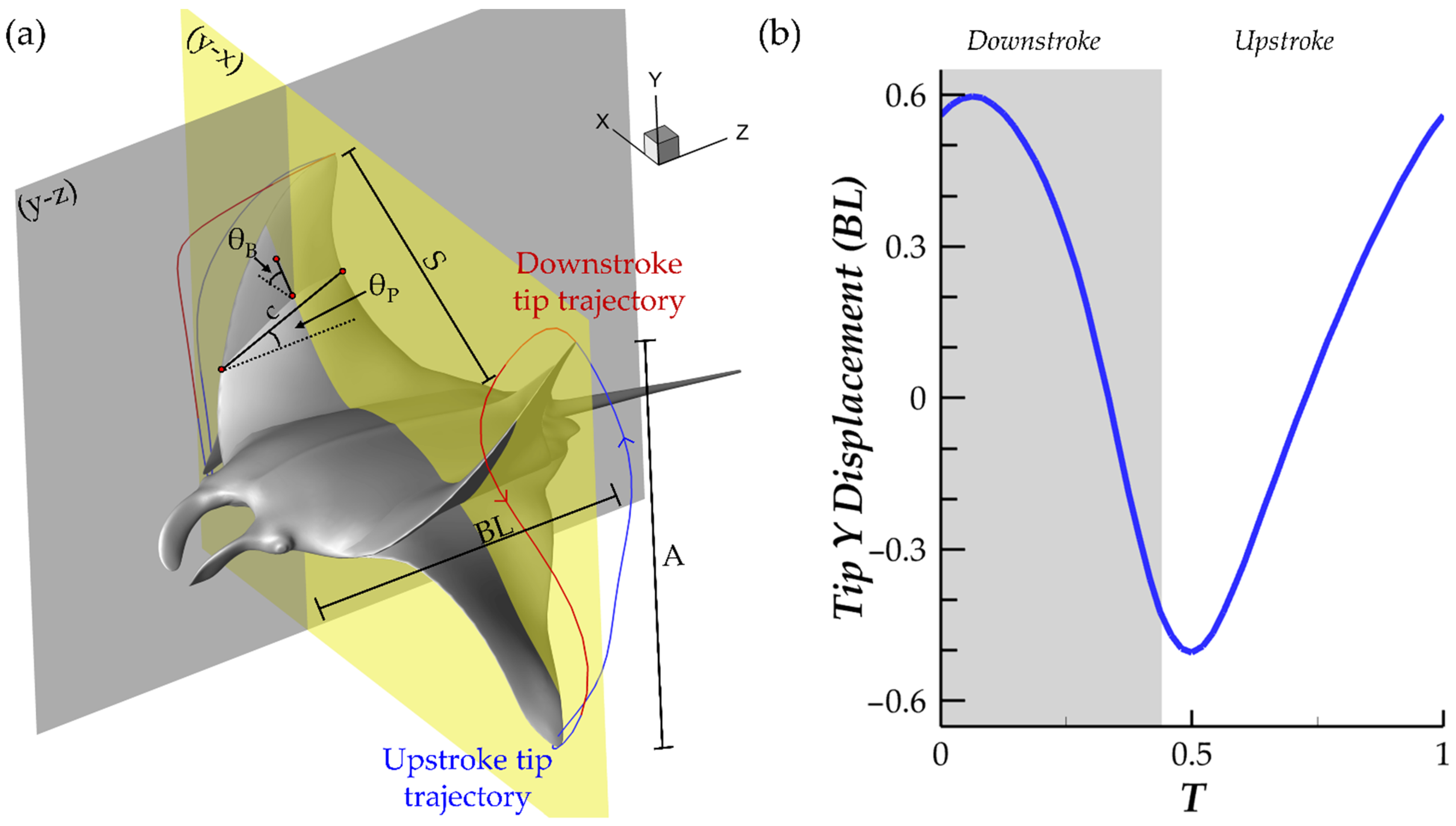 Biomimetics 07 00045 g002
